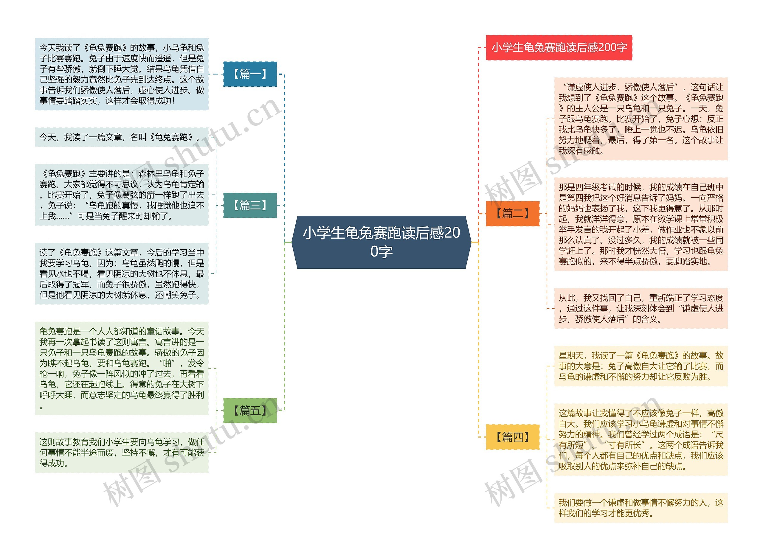 小学生龟兔赛跑读后感200字思维导图