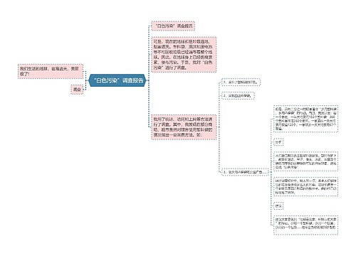 “白色污染”调查报告