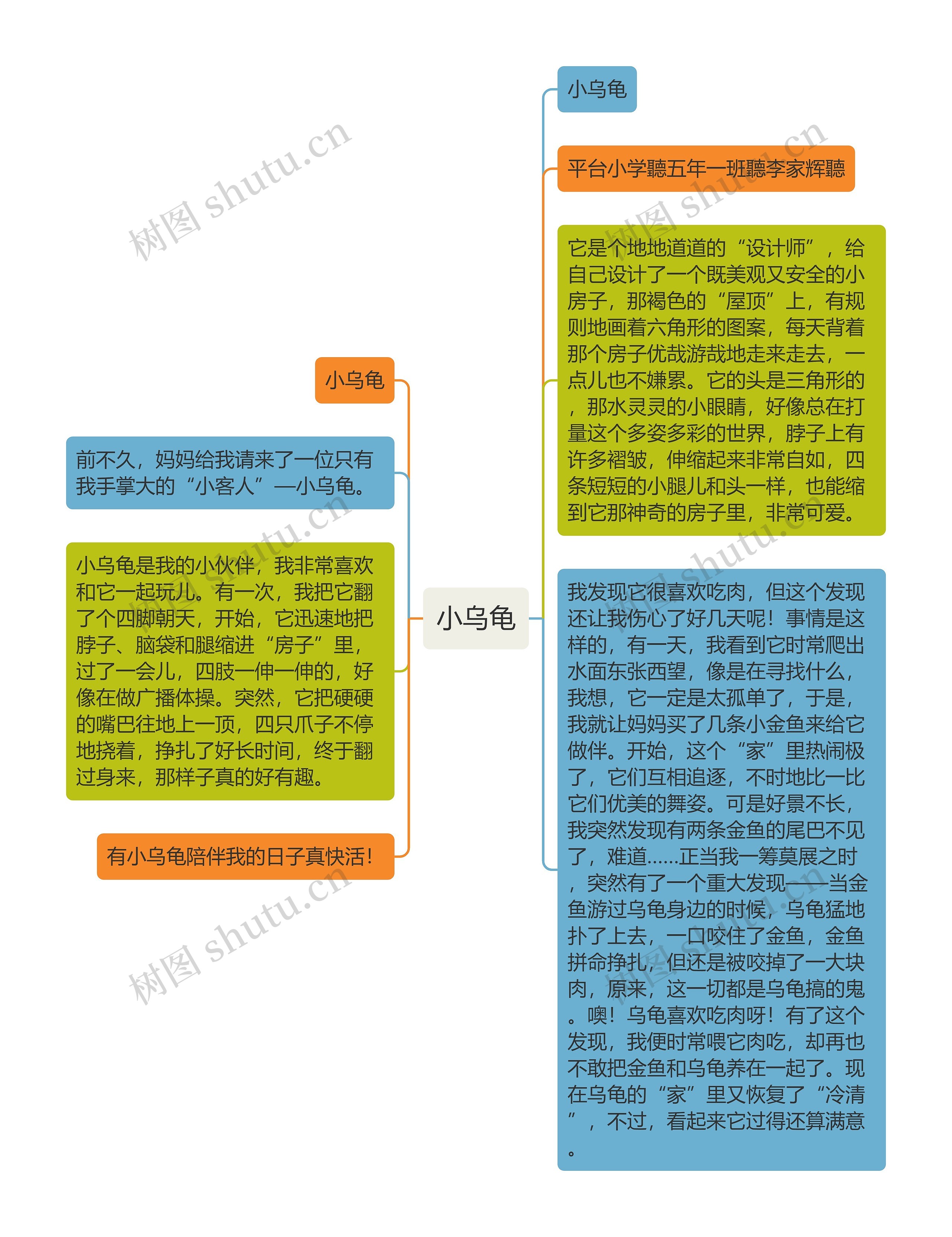 小乌龟