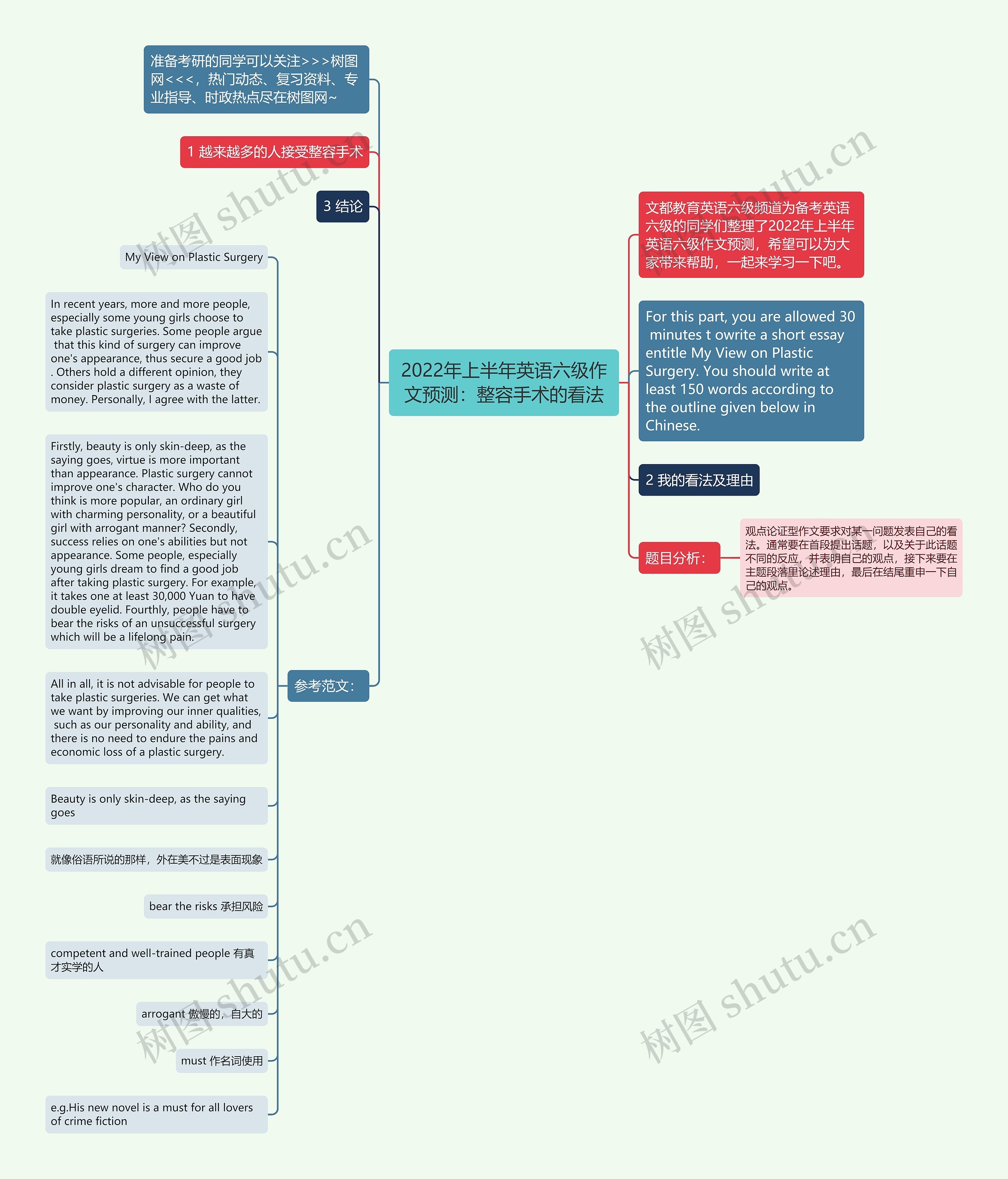 2022年上半年英语六级作文预测：整容手术的看法思维导图