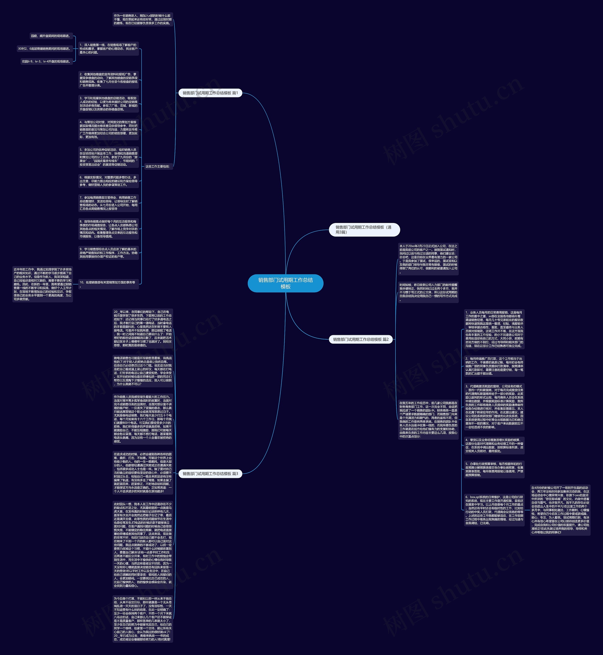 销售部门试用期工作总结思维导图