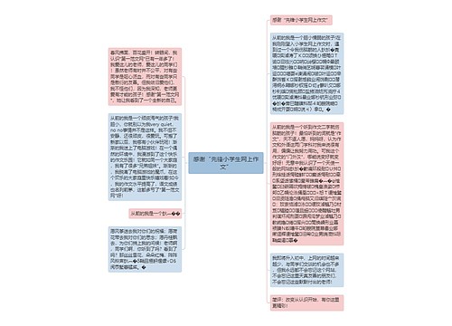 感谢“先锋小学生网上作文”