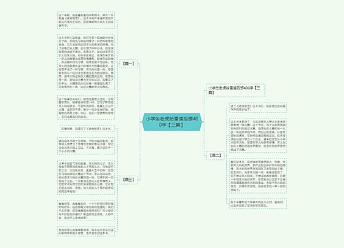 小学生老虎哈雷读后感400字【三篇】