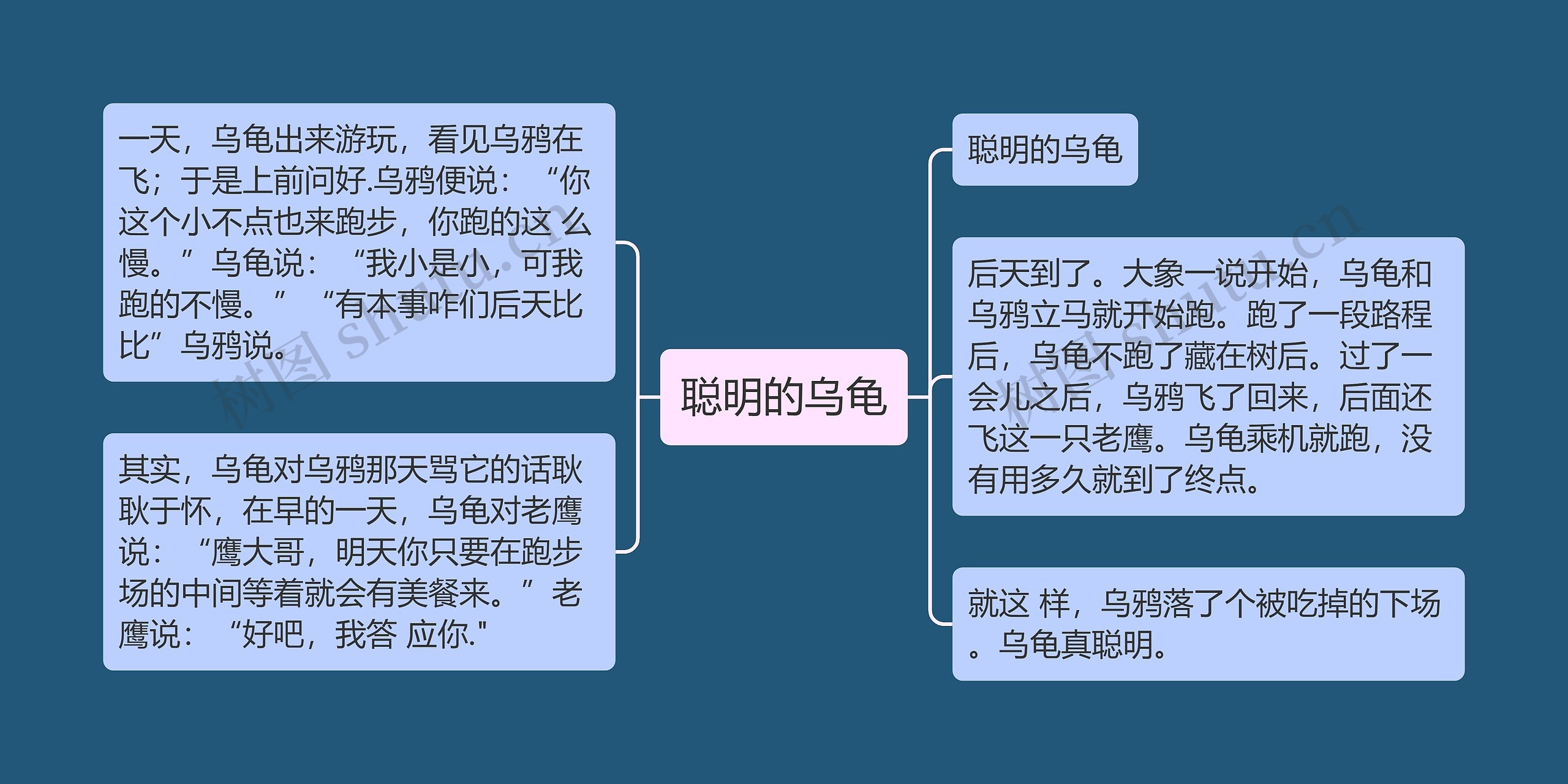 聪明的乌龟思维导图