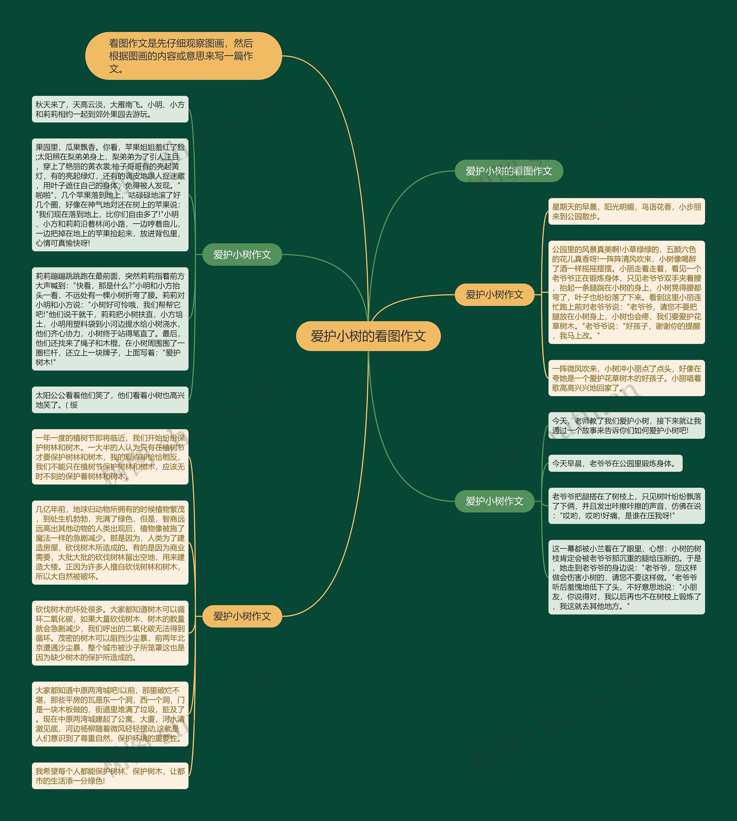 爱护小树的看图作文思维导图