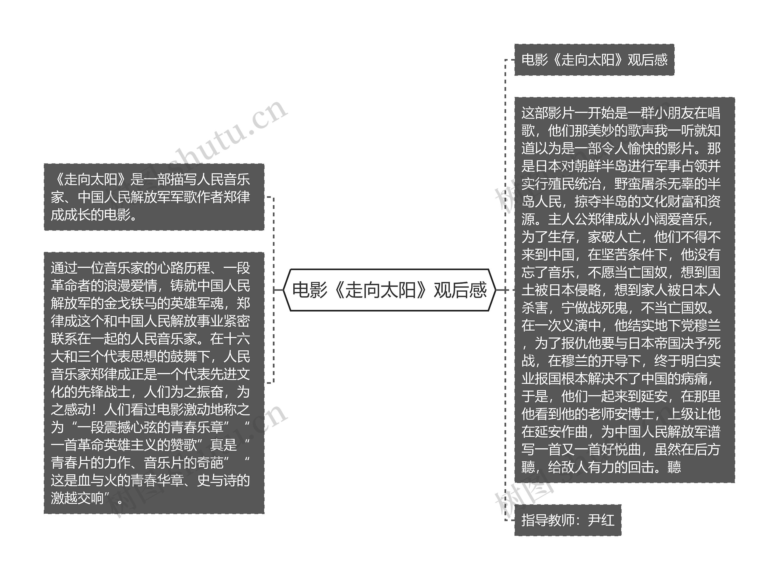 电影《走向太阳》观后感思维导图