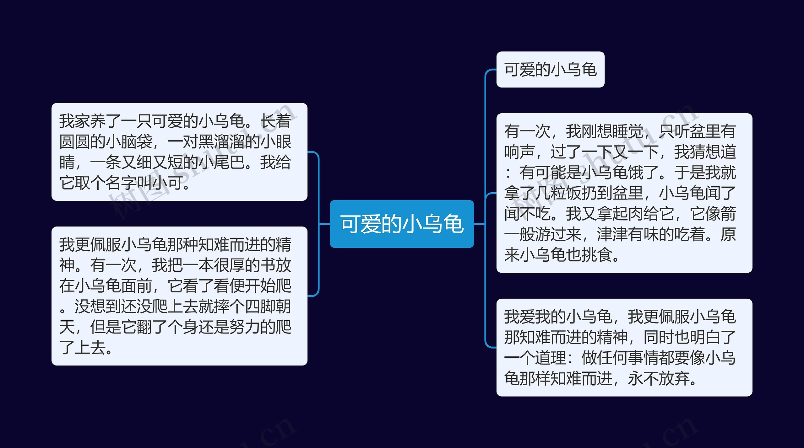 可爱的小乌龟思维导图