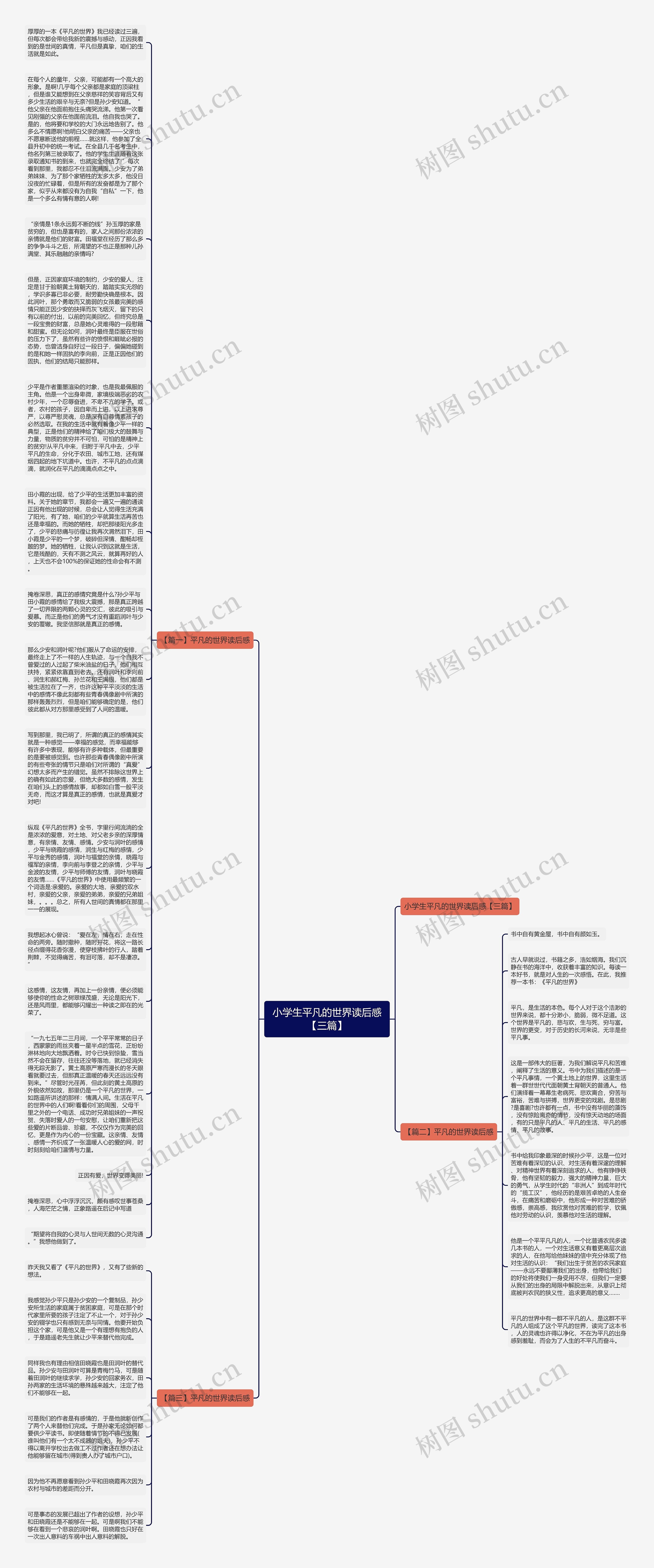 小学生平凡的世界读后感【三篇】思维导图
