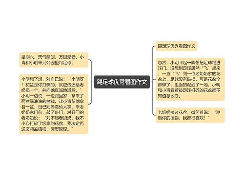 踢足球优秀看图作文