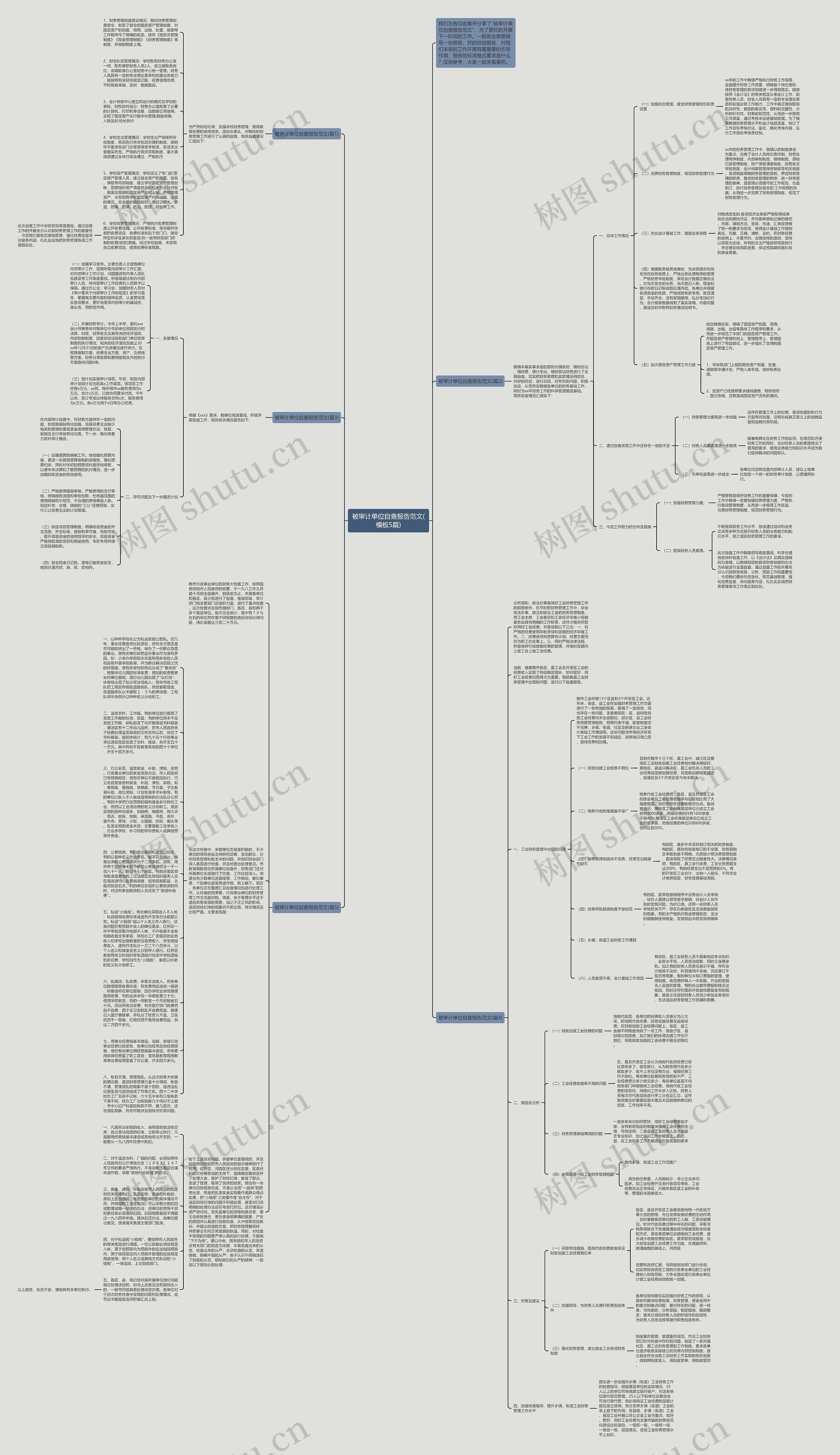 被审计单位自查报告范文(5篇)思维导图