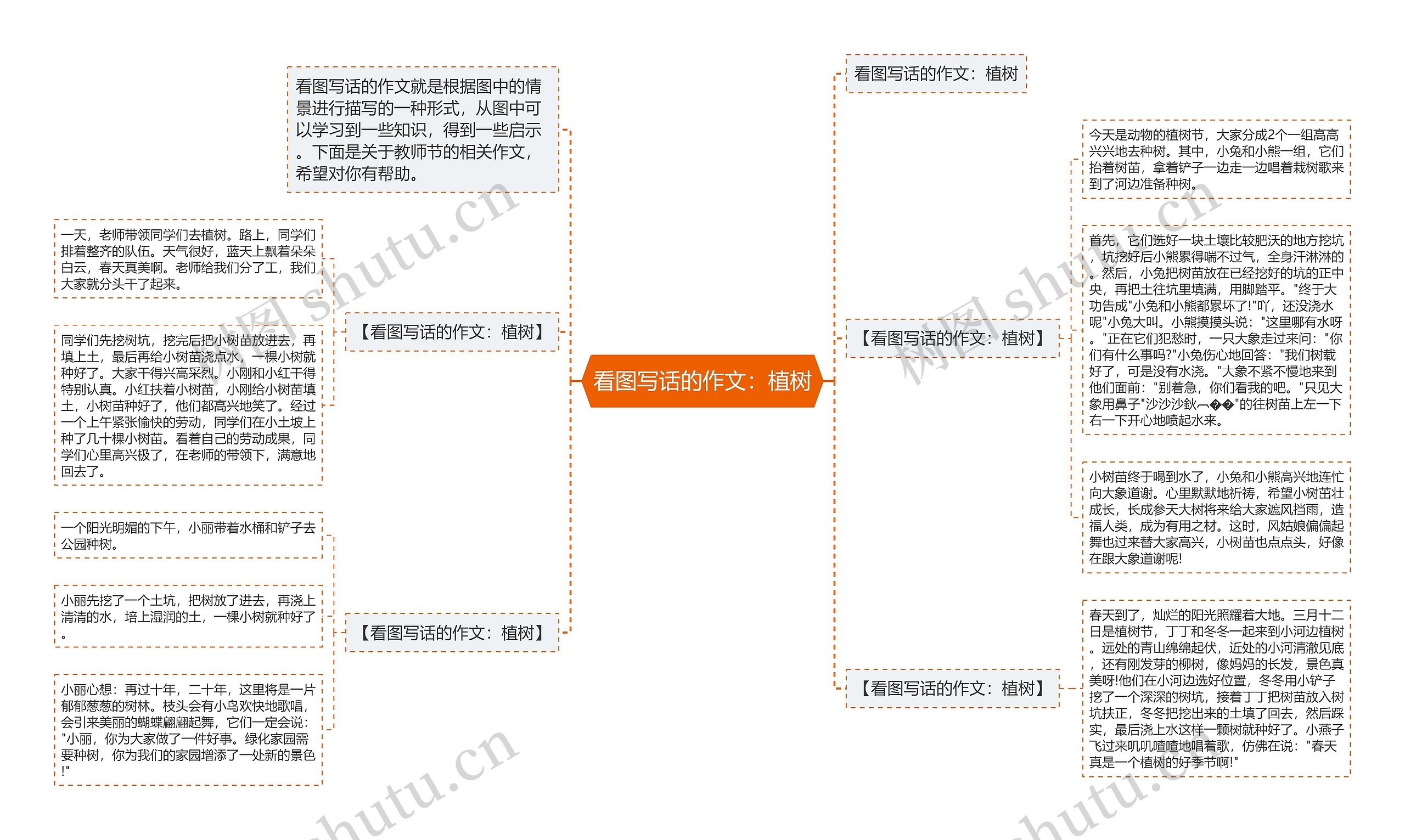 看图写话的作文：植树思维导图