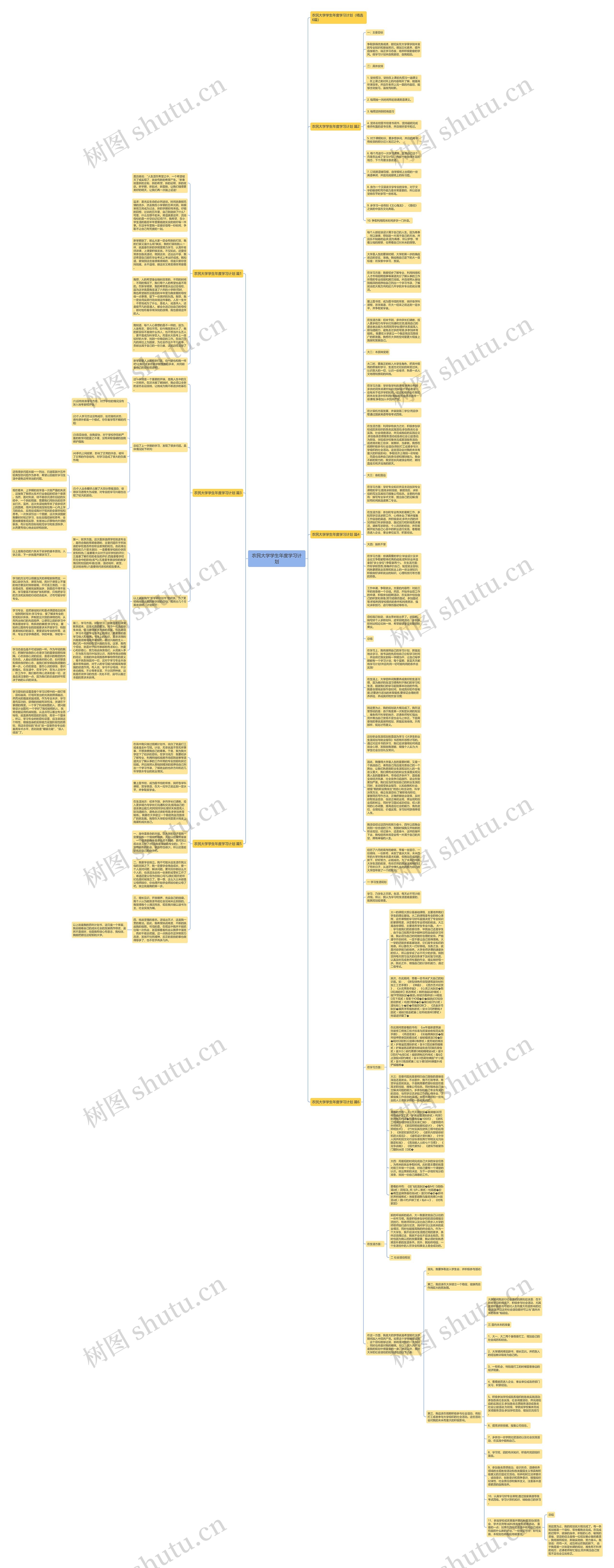 农民大学学生年度学习计划思维导图