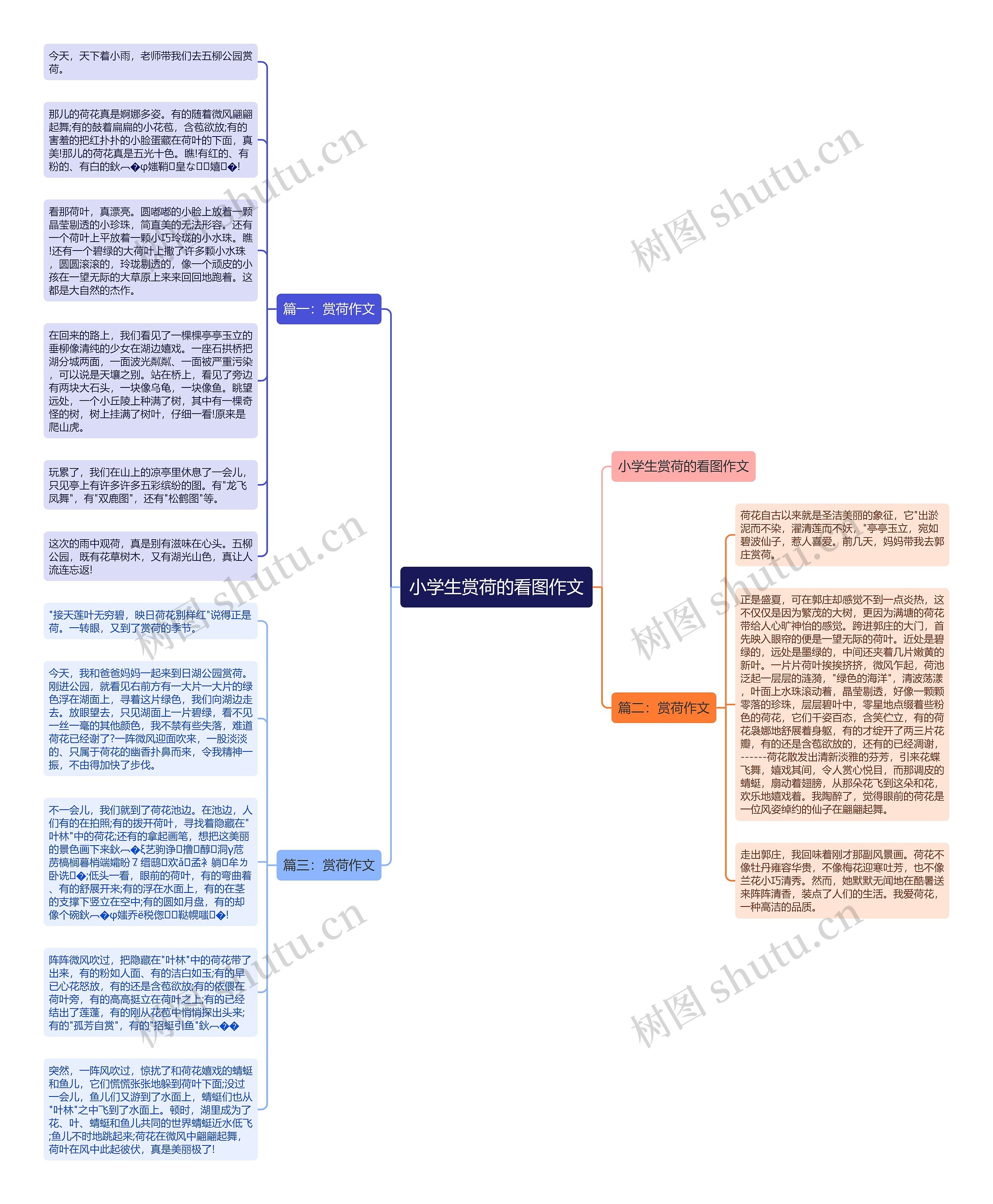 小学生赏荷的看图作文思维导图