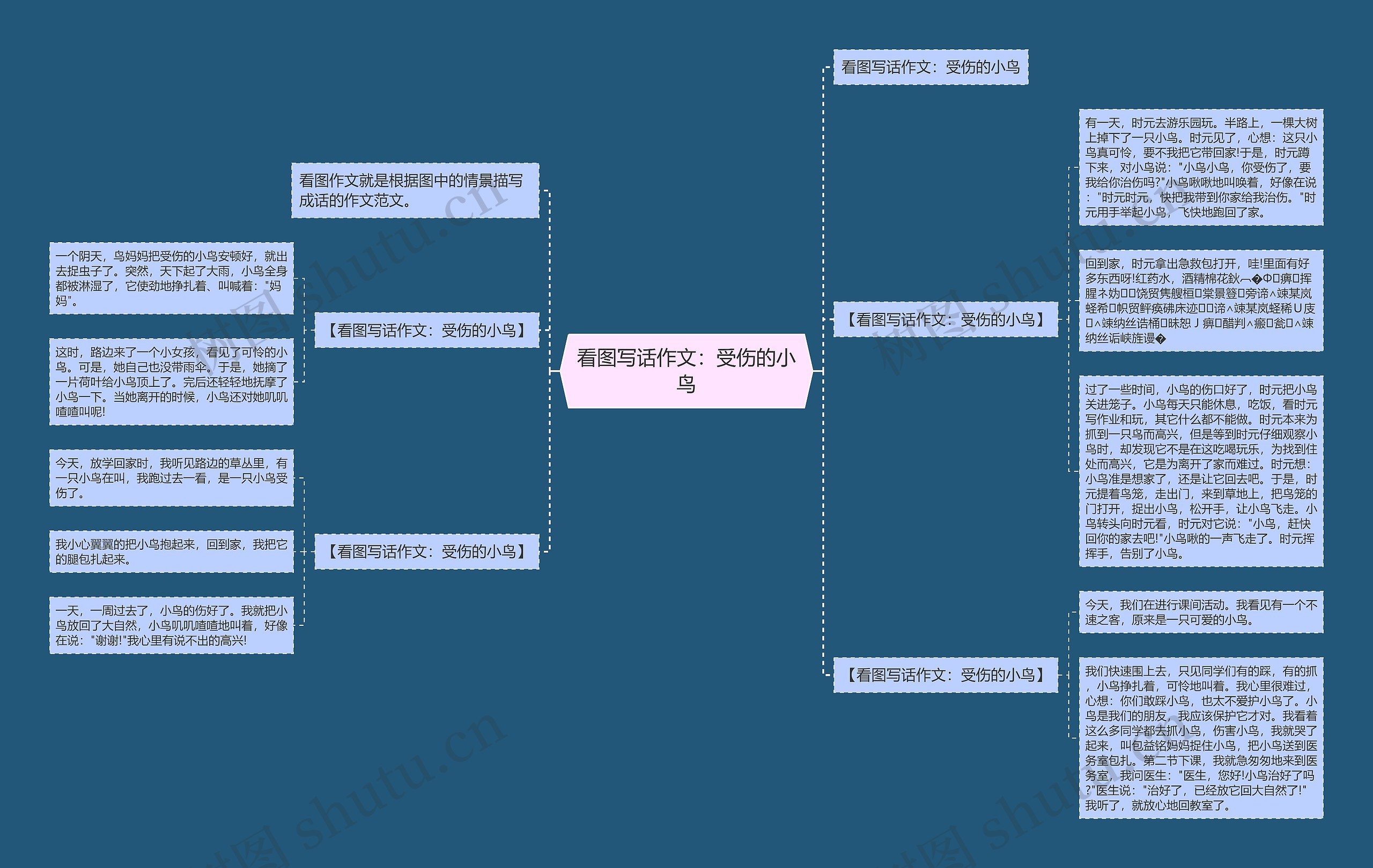 看图写话作文：受伤的小鸟思维导图