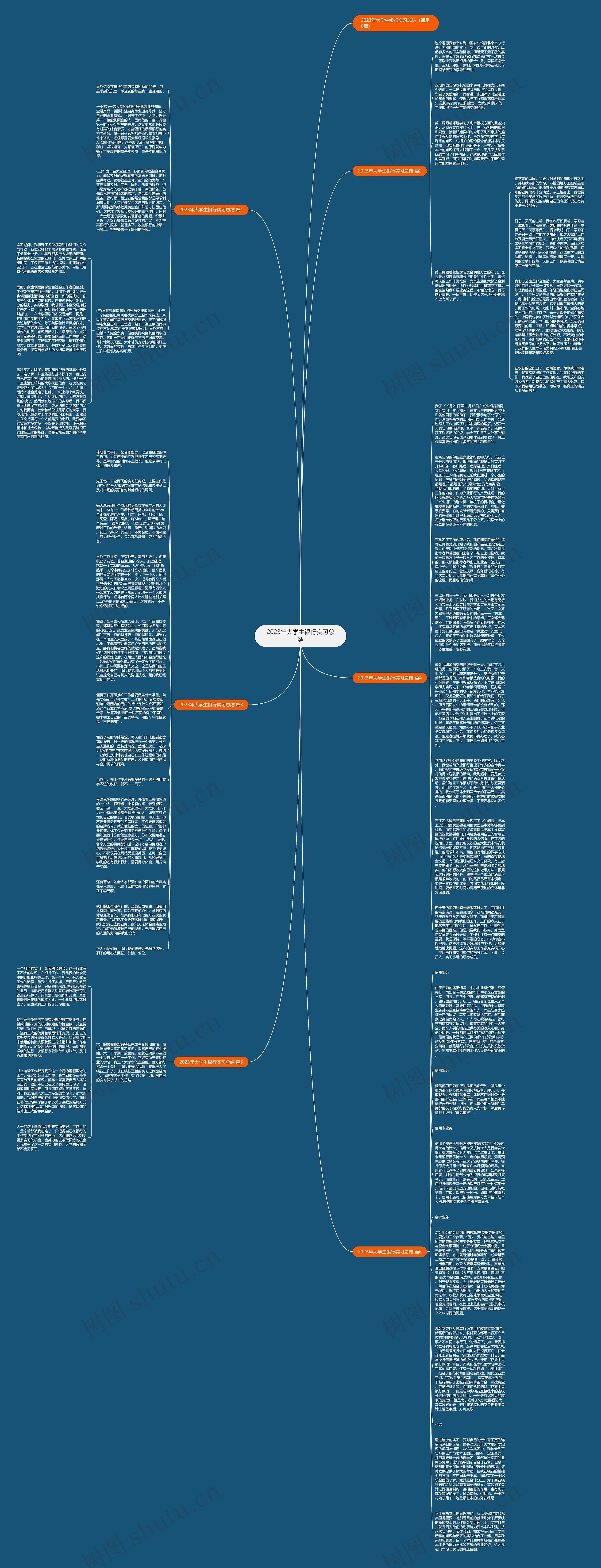 2023年大学生银行实习总结思维导图