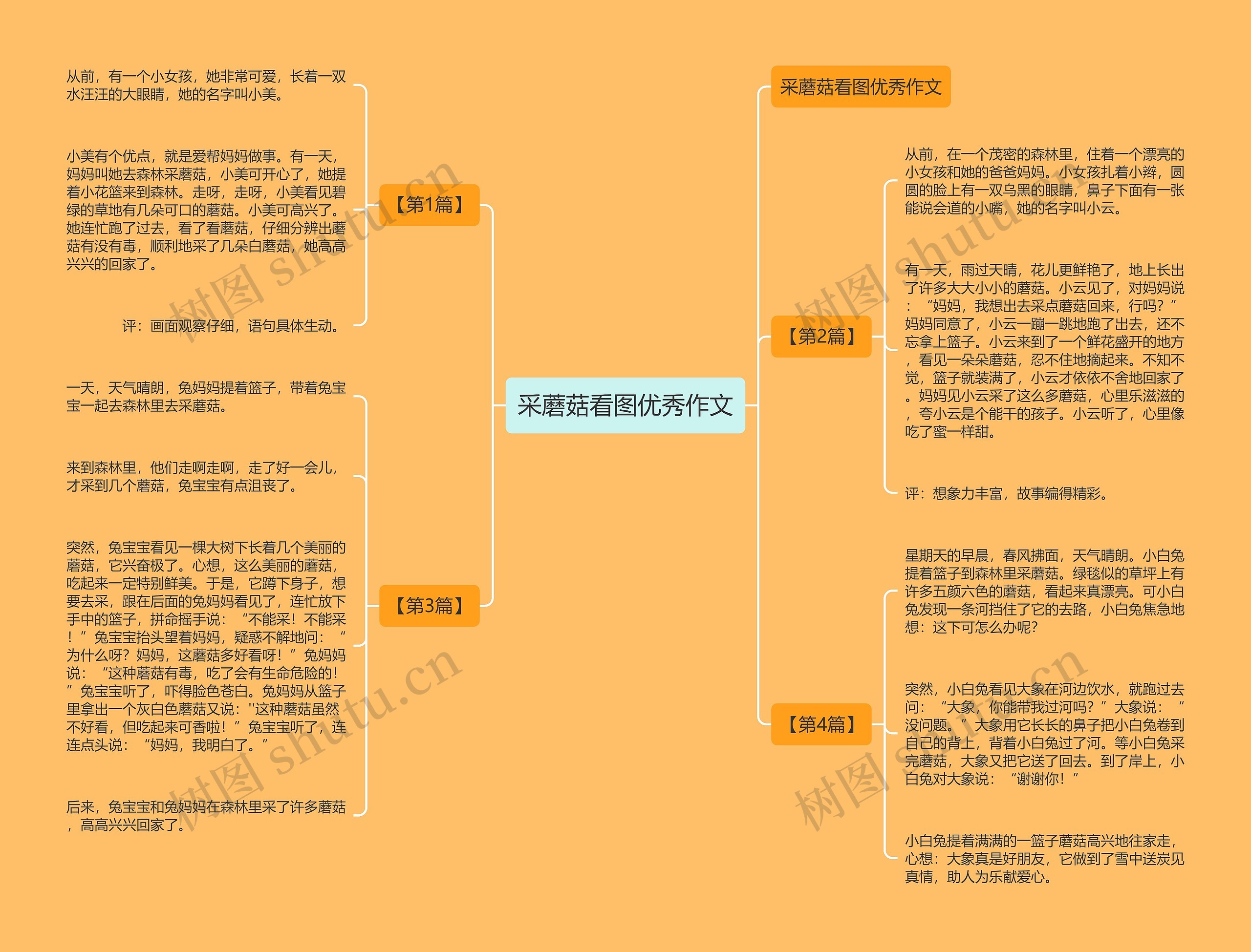 采蘑菇看图优秀作文思维导图