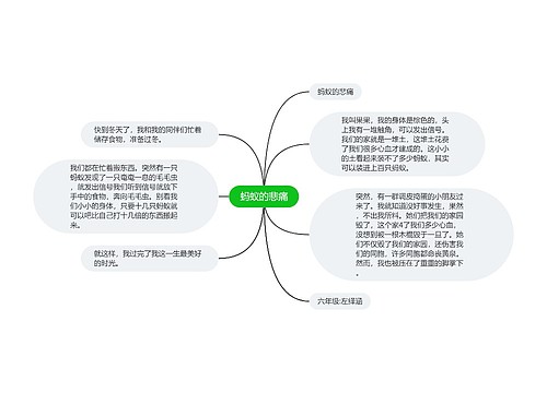 蚂蚁的悲痛