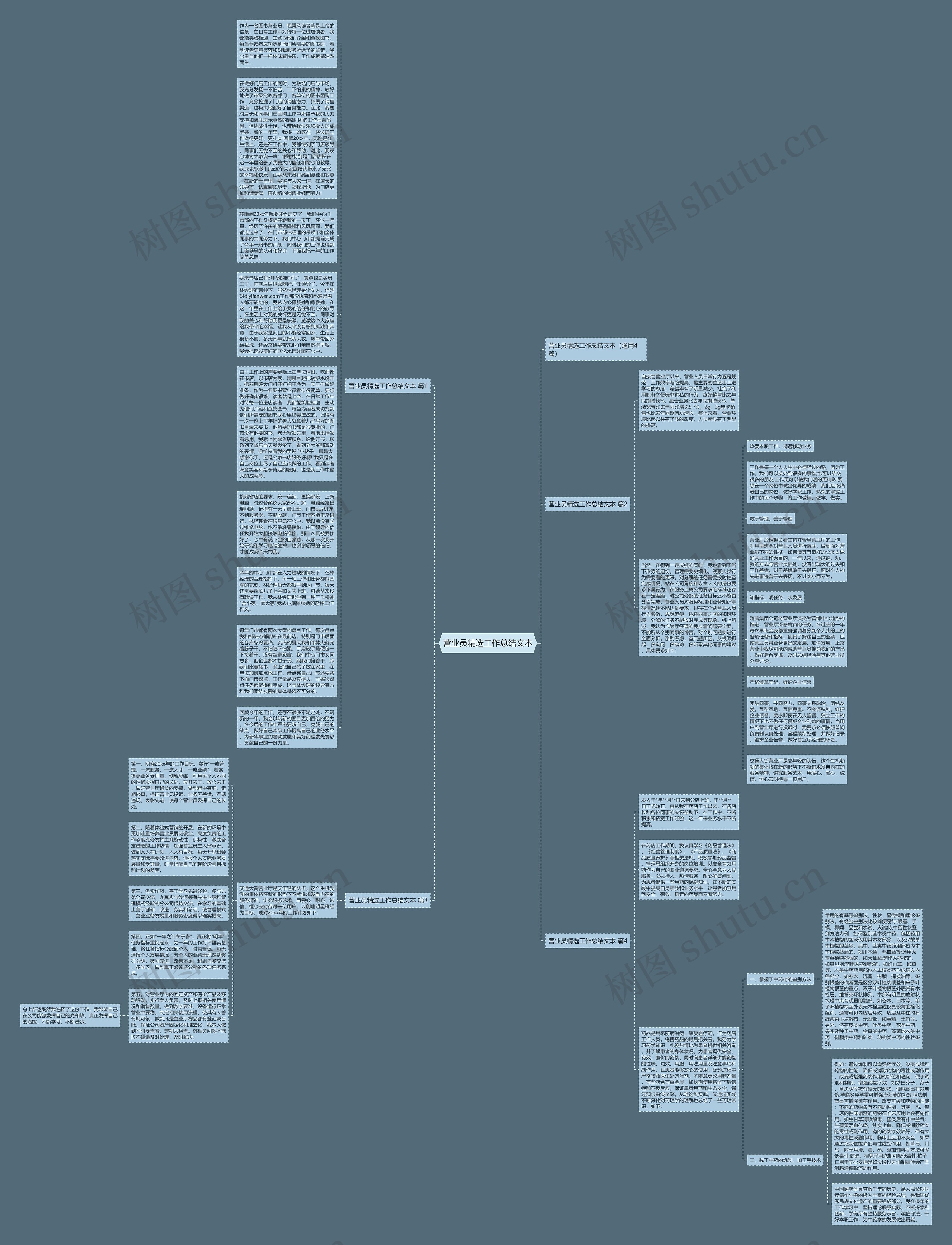 营业员精选工作总结文本思维导图