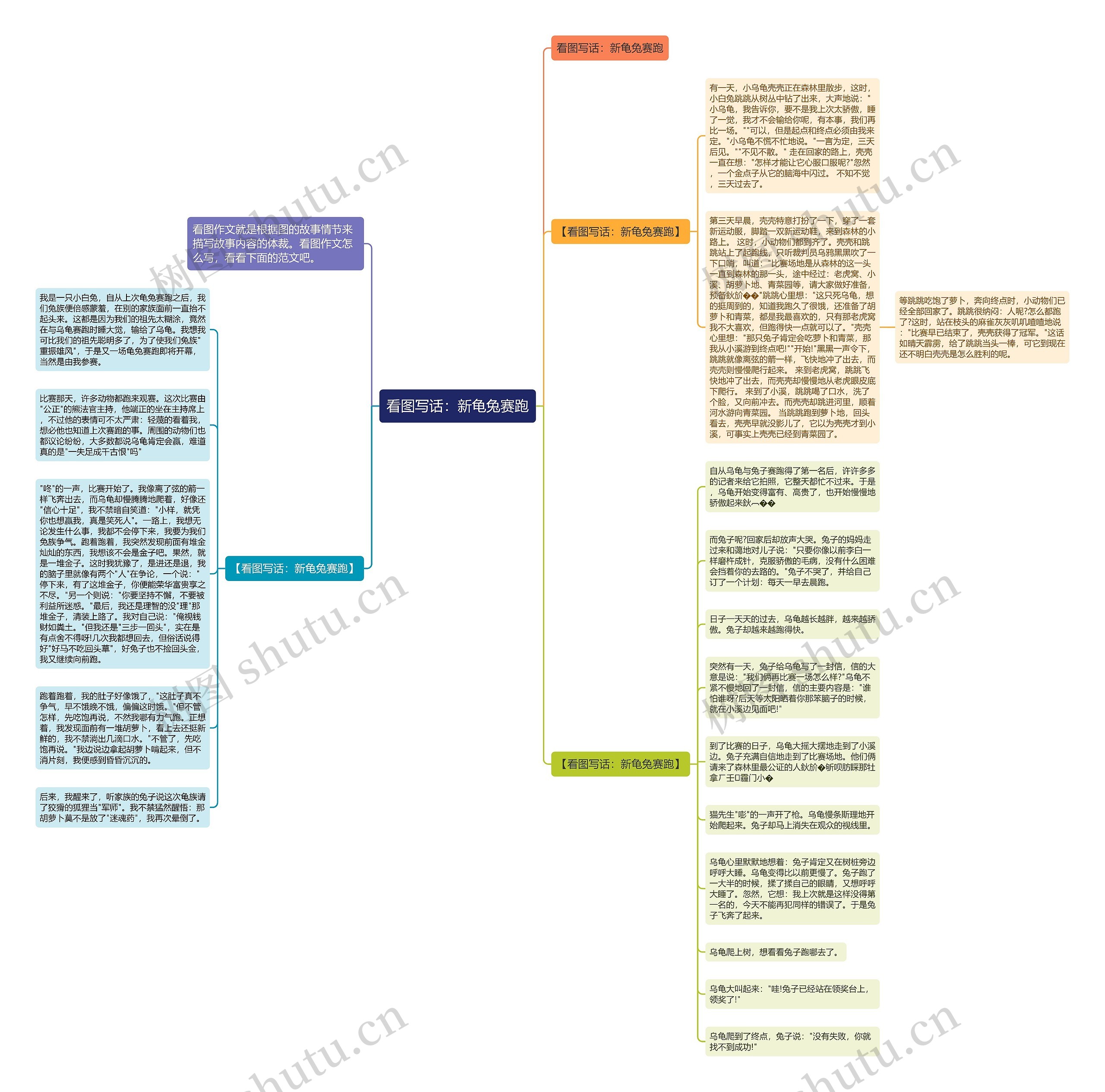 看图写话：新龟兔赛跑思维导图