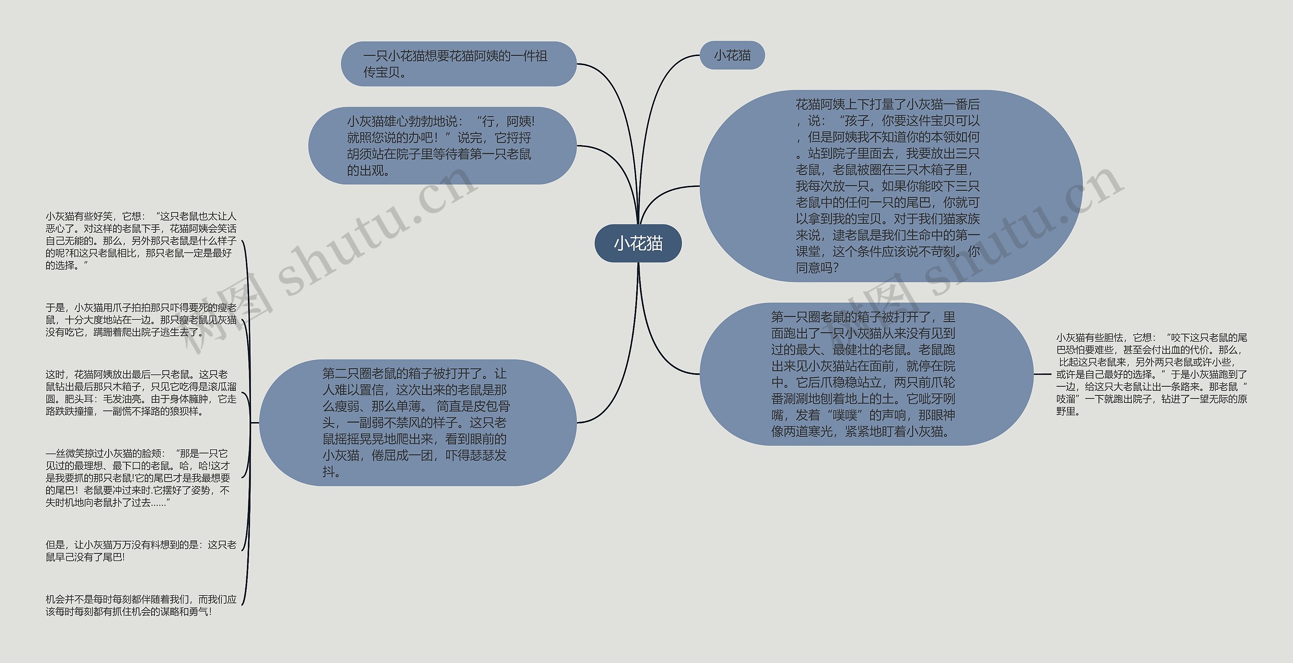 小花猫思维导图