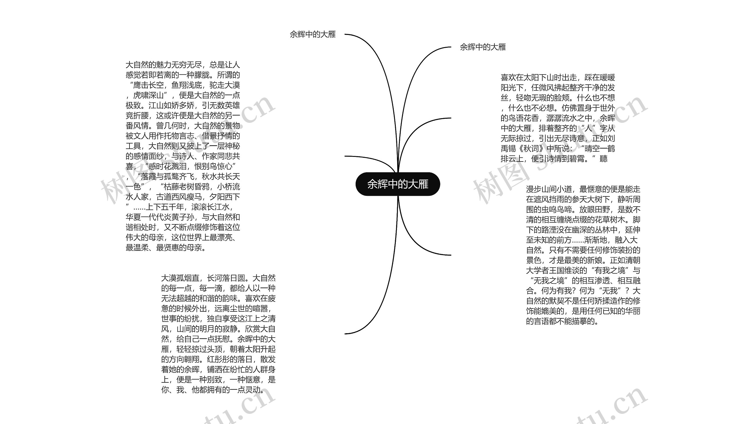 余辉中的大雁思维导图