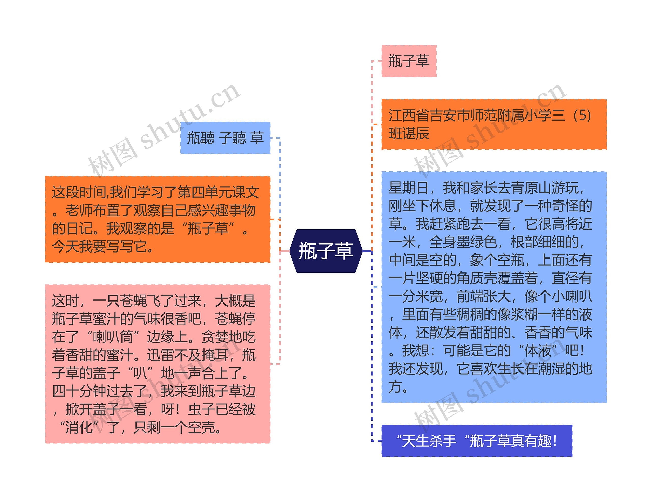 瓶子草思维导图