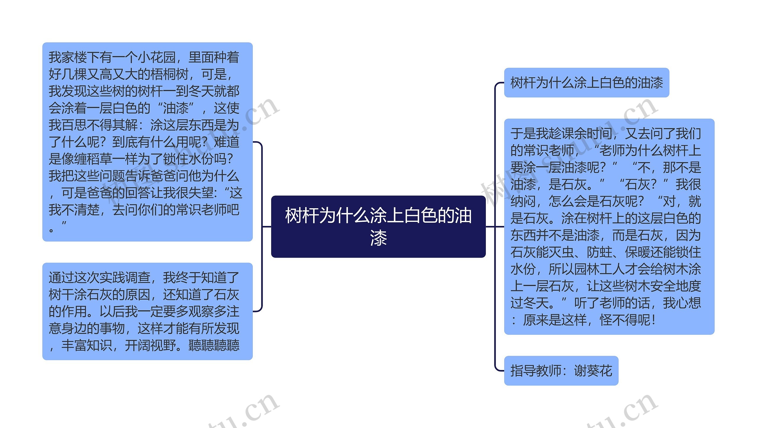 树杆为什么涂上白色的油漆