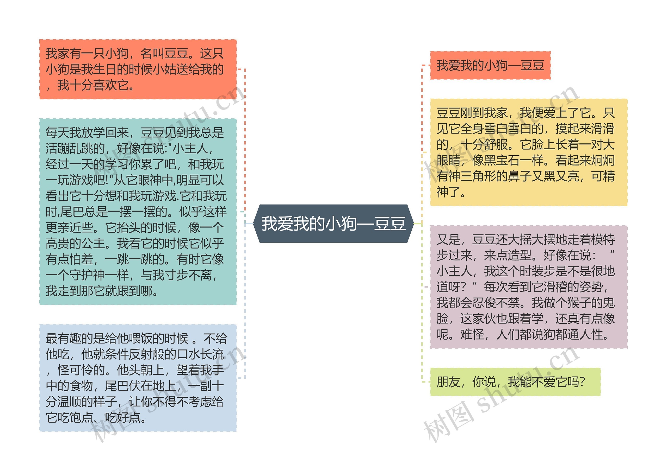 我爱我的小狗—豆豆思维导图