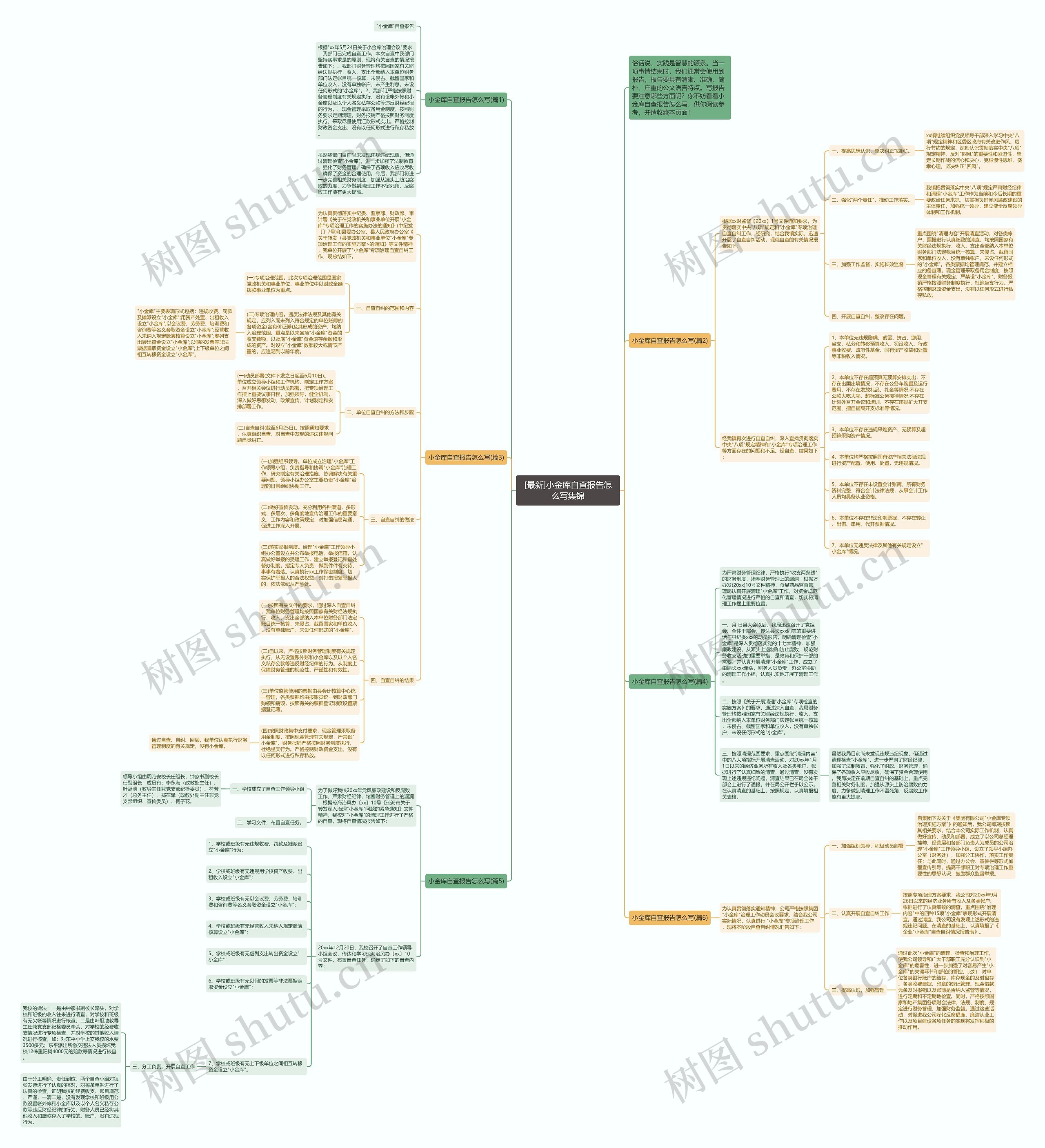 [最新]小金库自查报告怎么写集锦思维导图