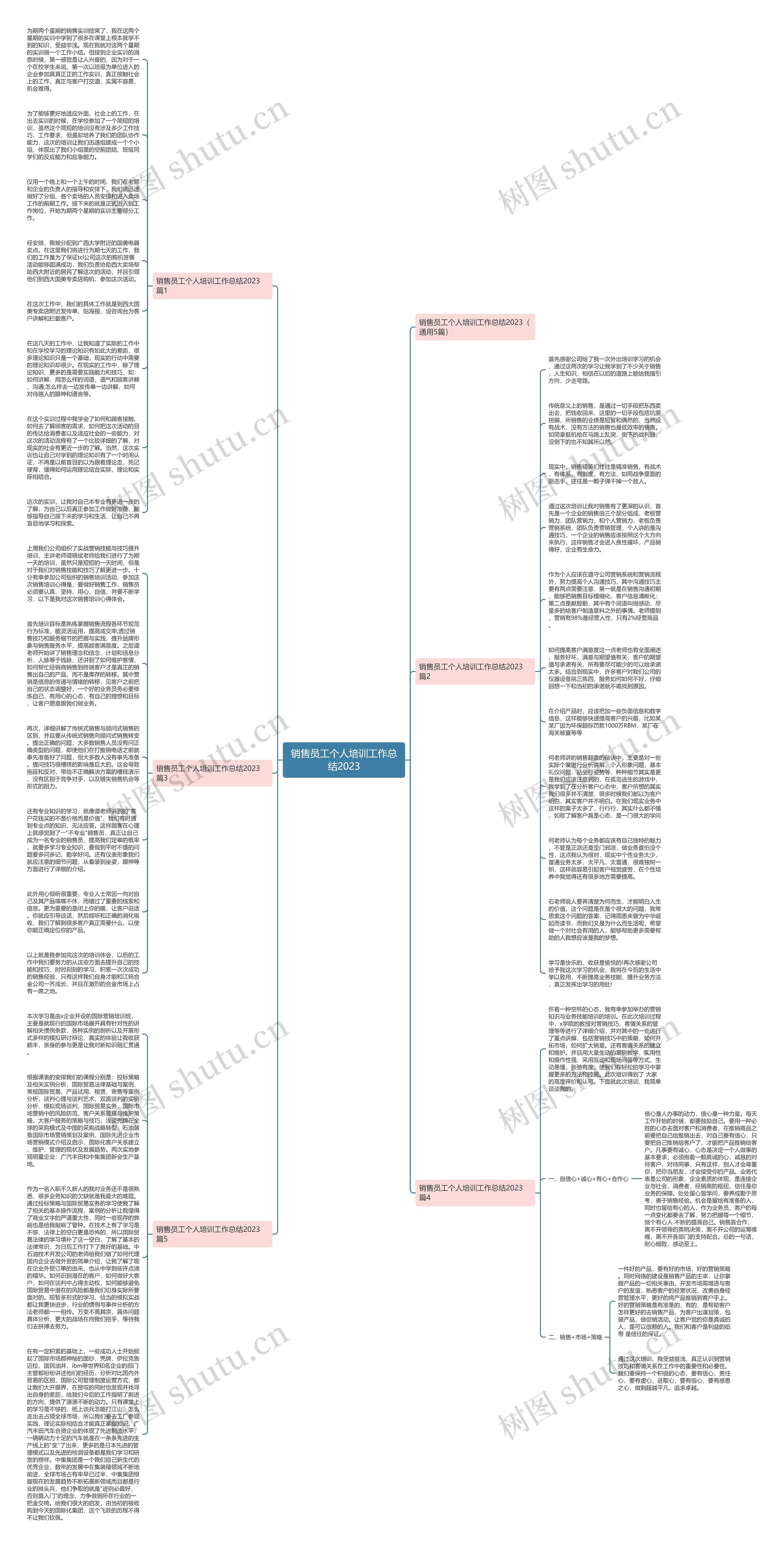 销售员工个人培训工作总结2023思维导图
