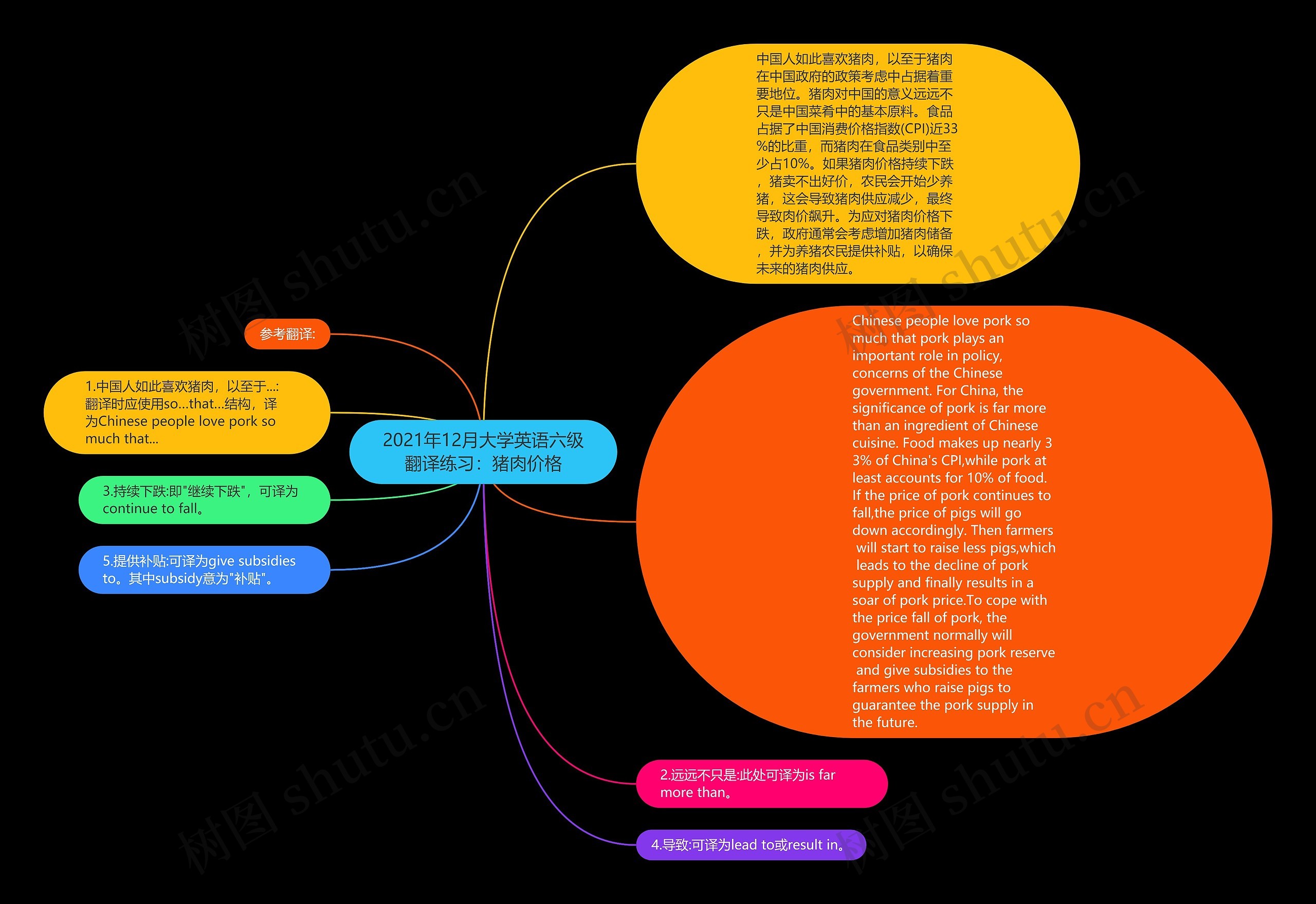 2021年12月大学英语六级翻译练习：猪肉价格思维导图