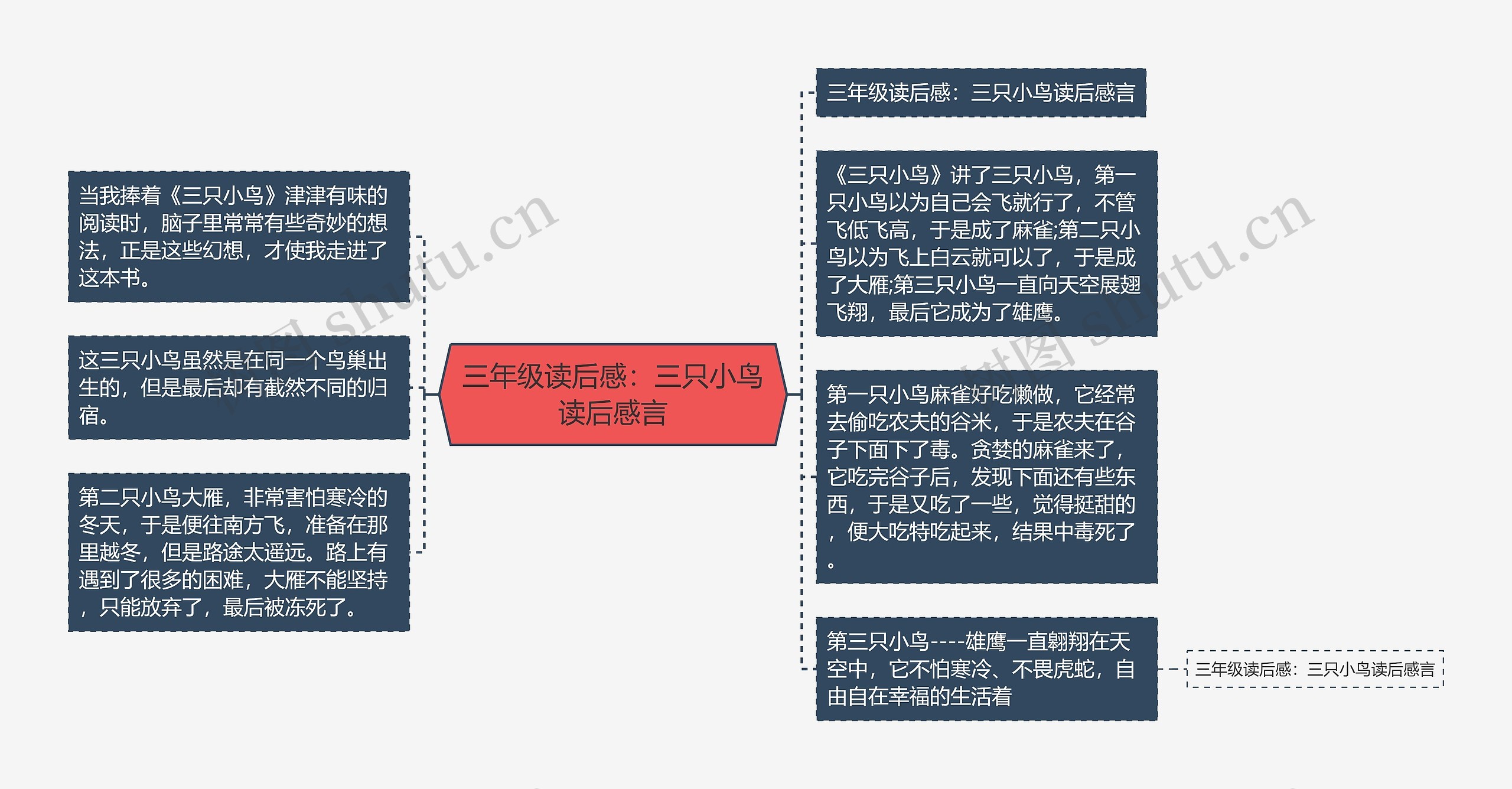 三年级读后感：三只小鸟读后感言思维导图