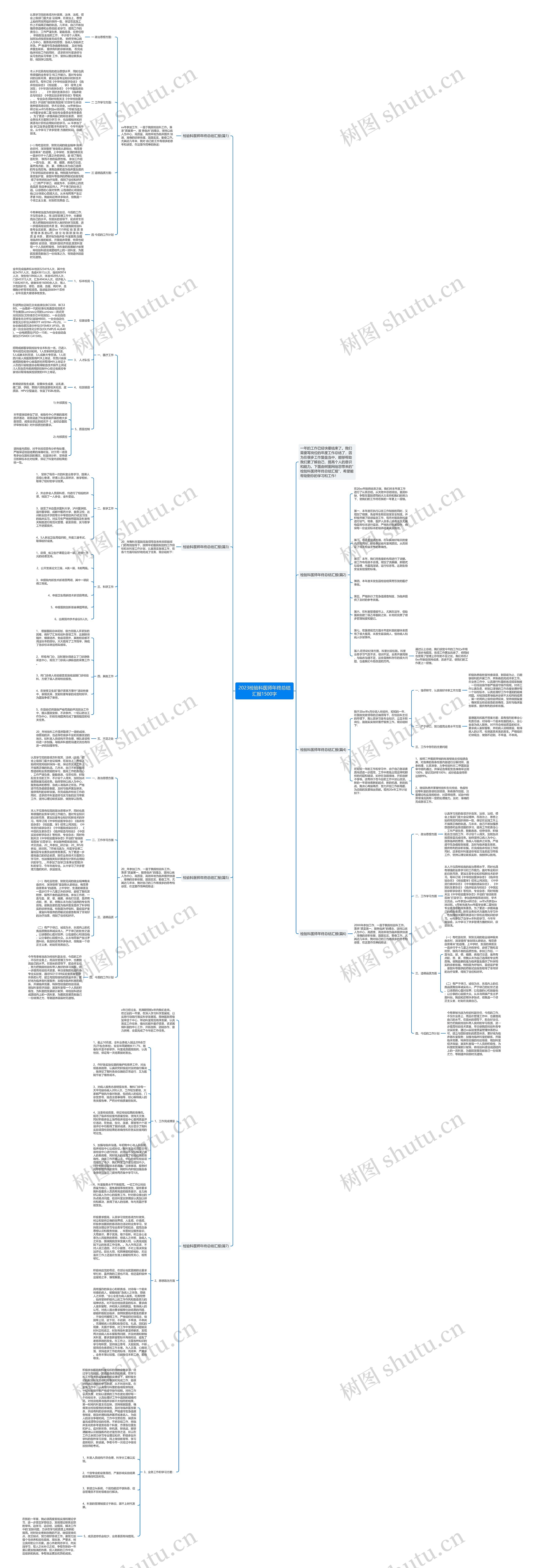 2023检验科医师年终总结汇报1500字思维导图