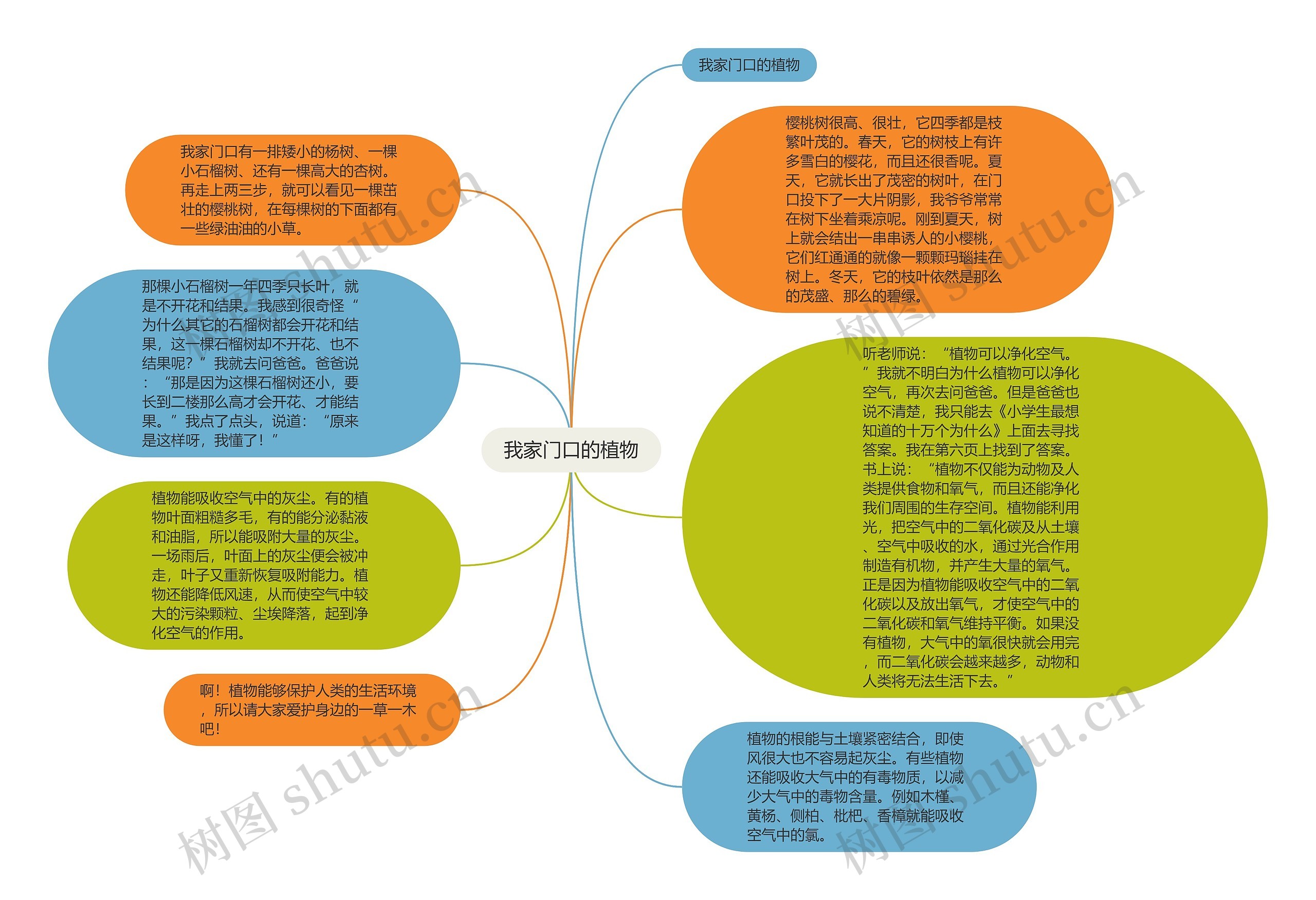 我家门口的植物思维导图