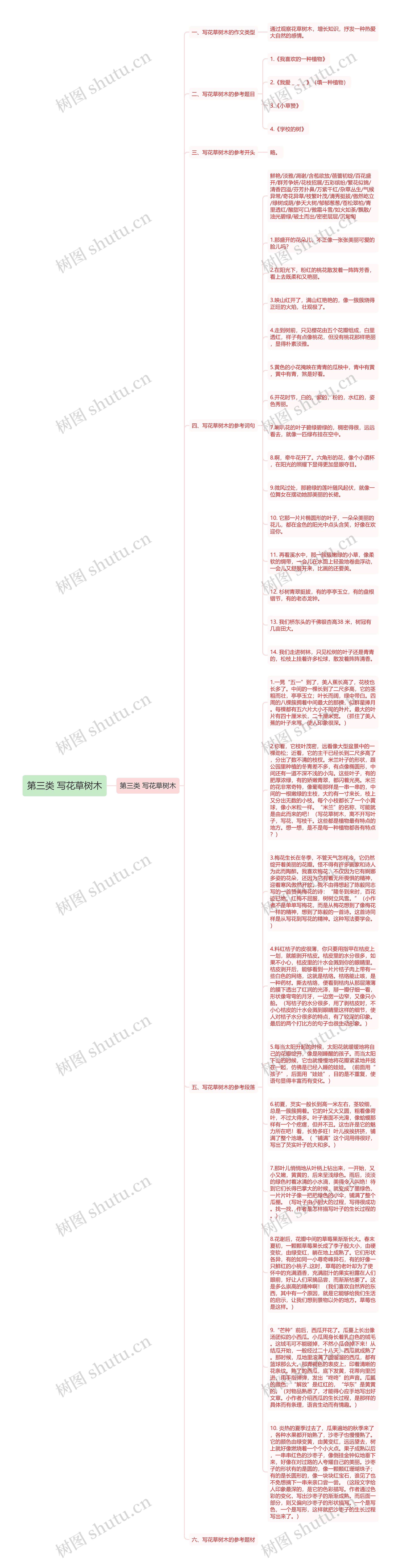 第三类 写花草树木思维导图