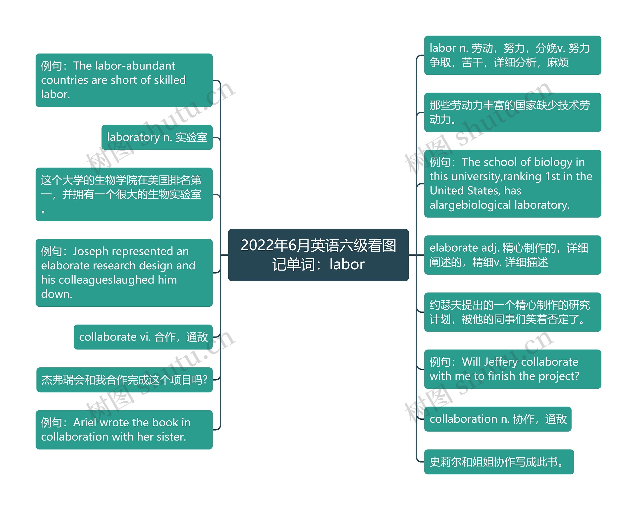 2022年6月英语六级看图记单词：labor思维导图