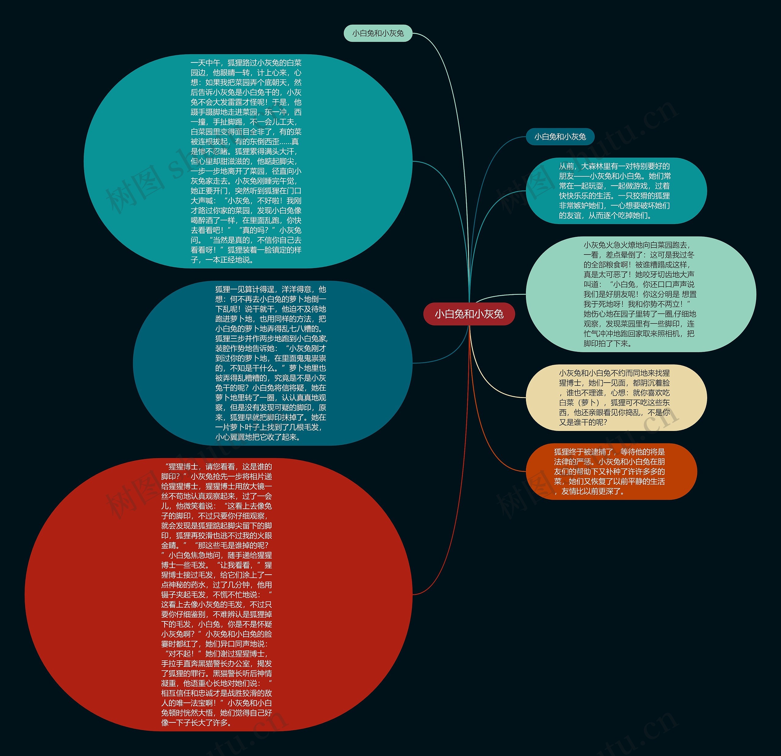 小白兔和小灰兔思维导图