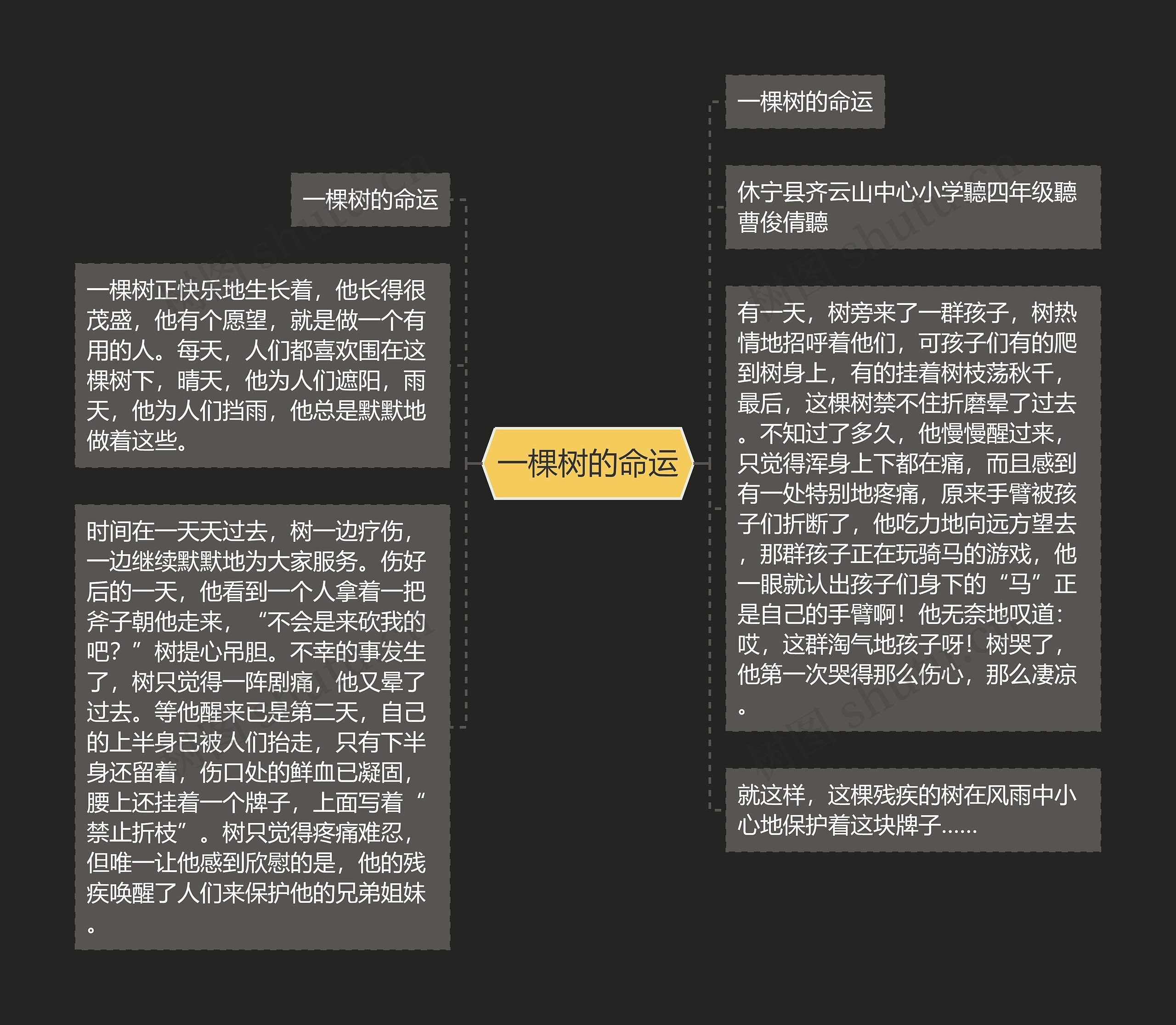 一棵树的命运思维导图