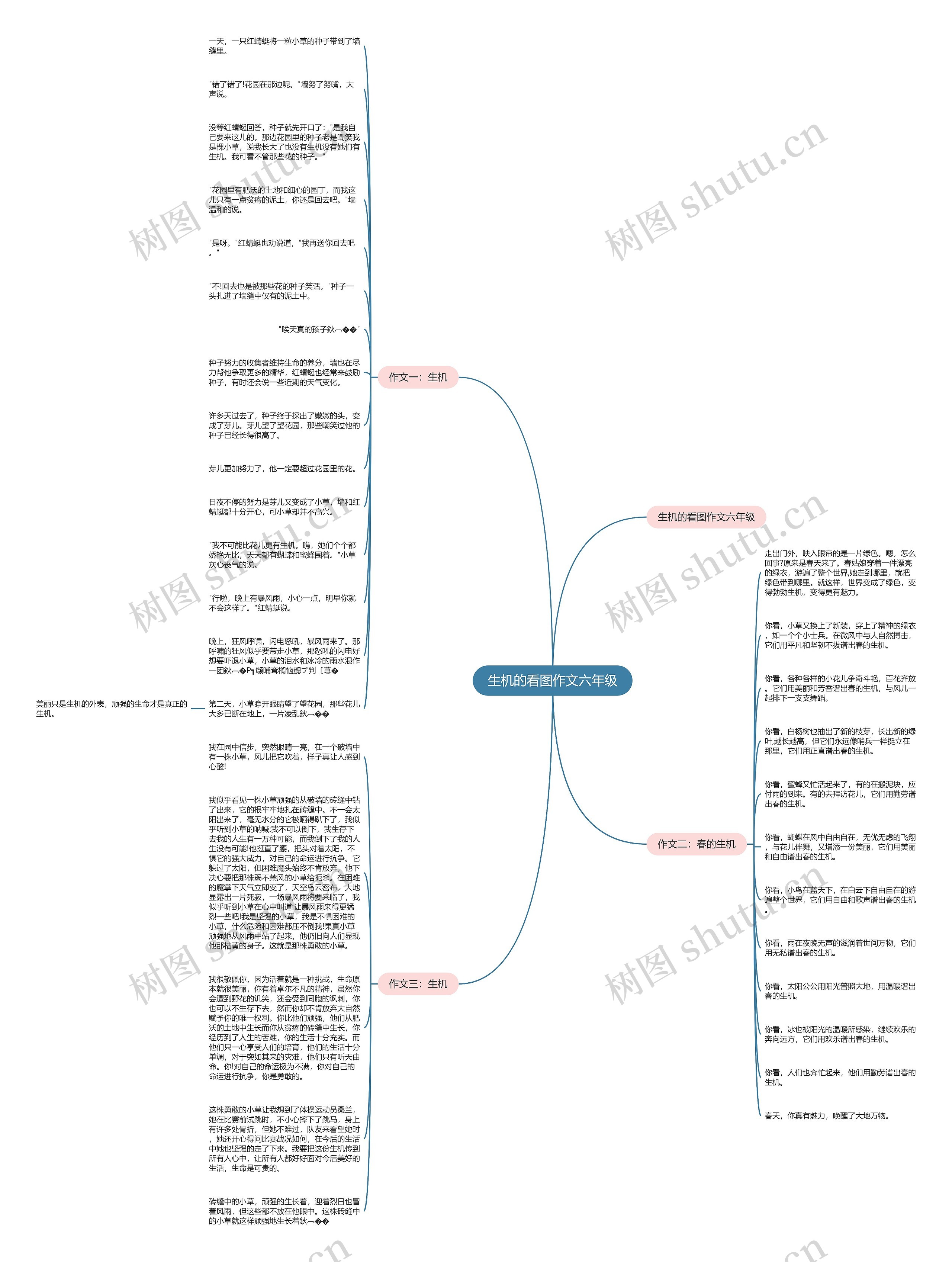 生机的看图作文六年级思维导图