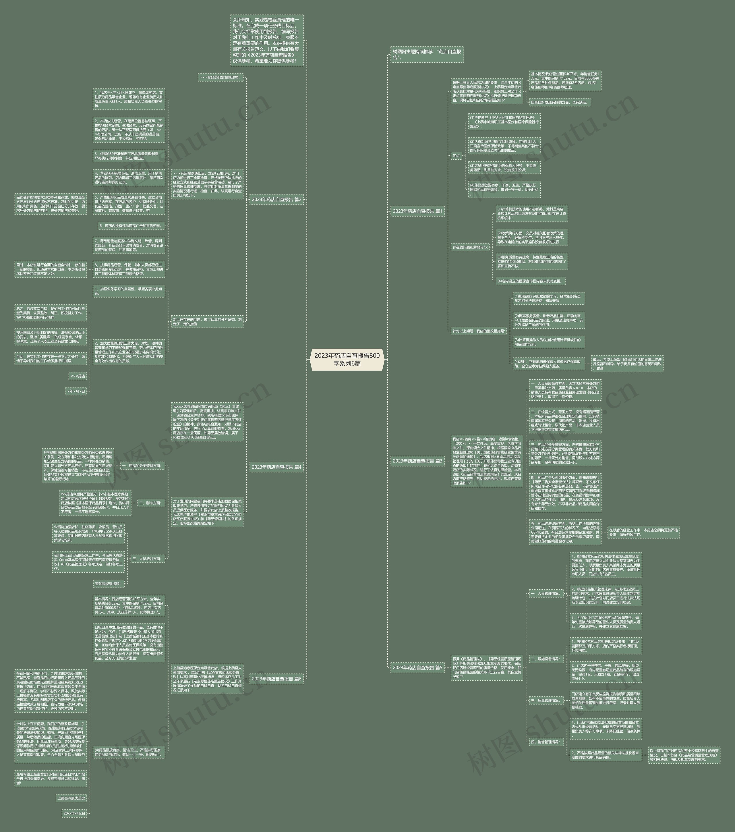 2023年药店自查报告800字系列6篇思维导图