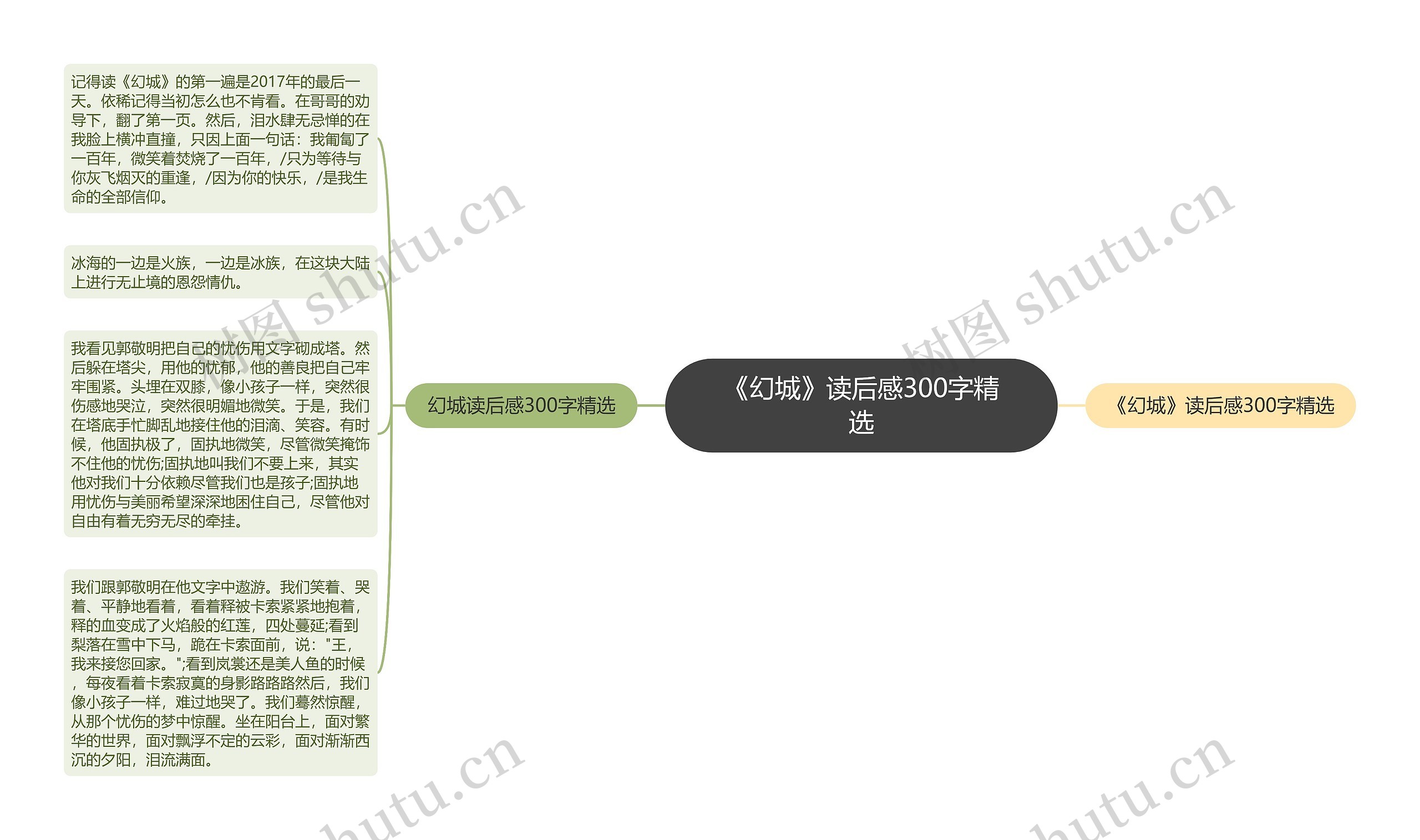 《幻城》读后感300字精选思维导图