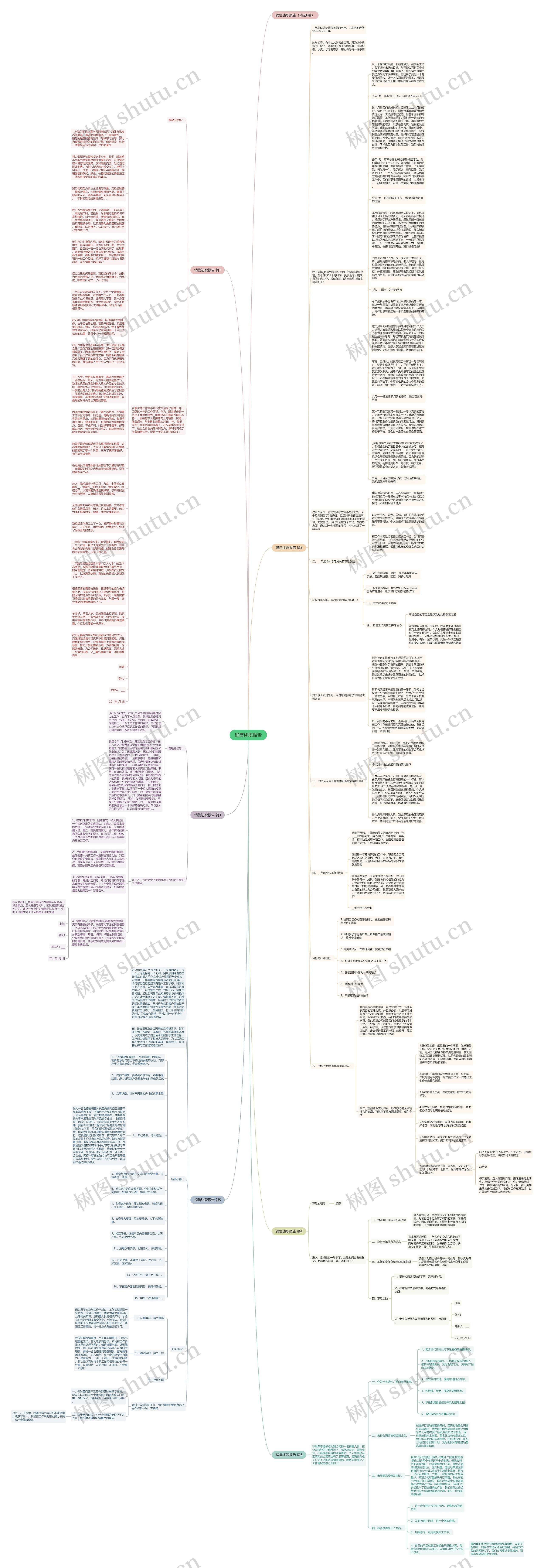 销售述职报告思维导图