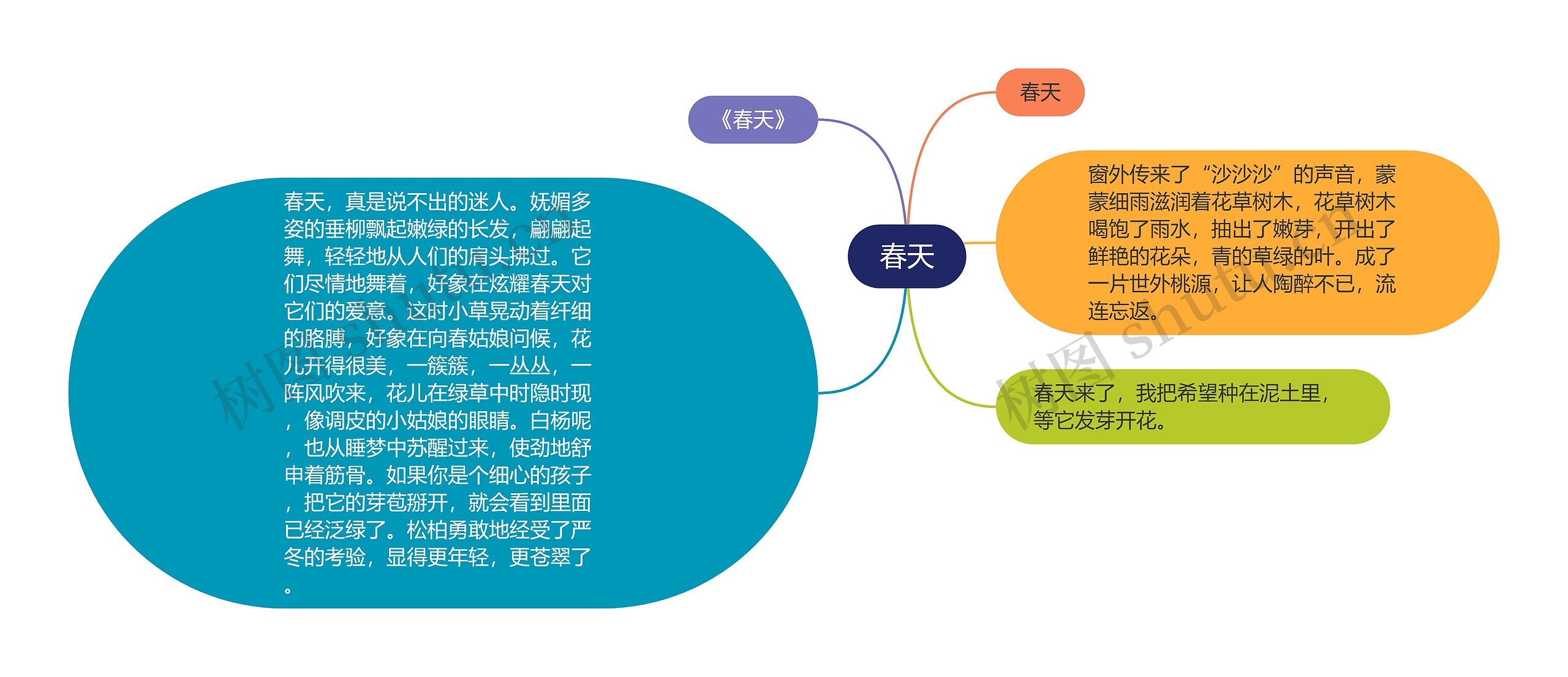 春天思维导图