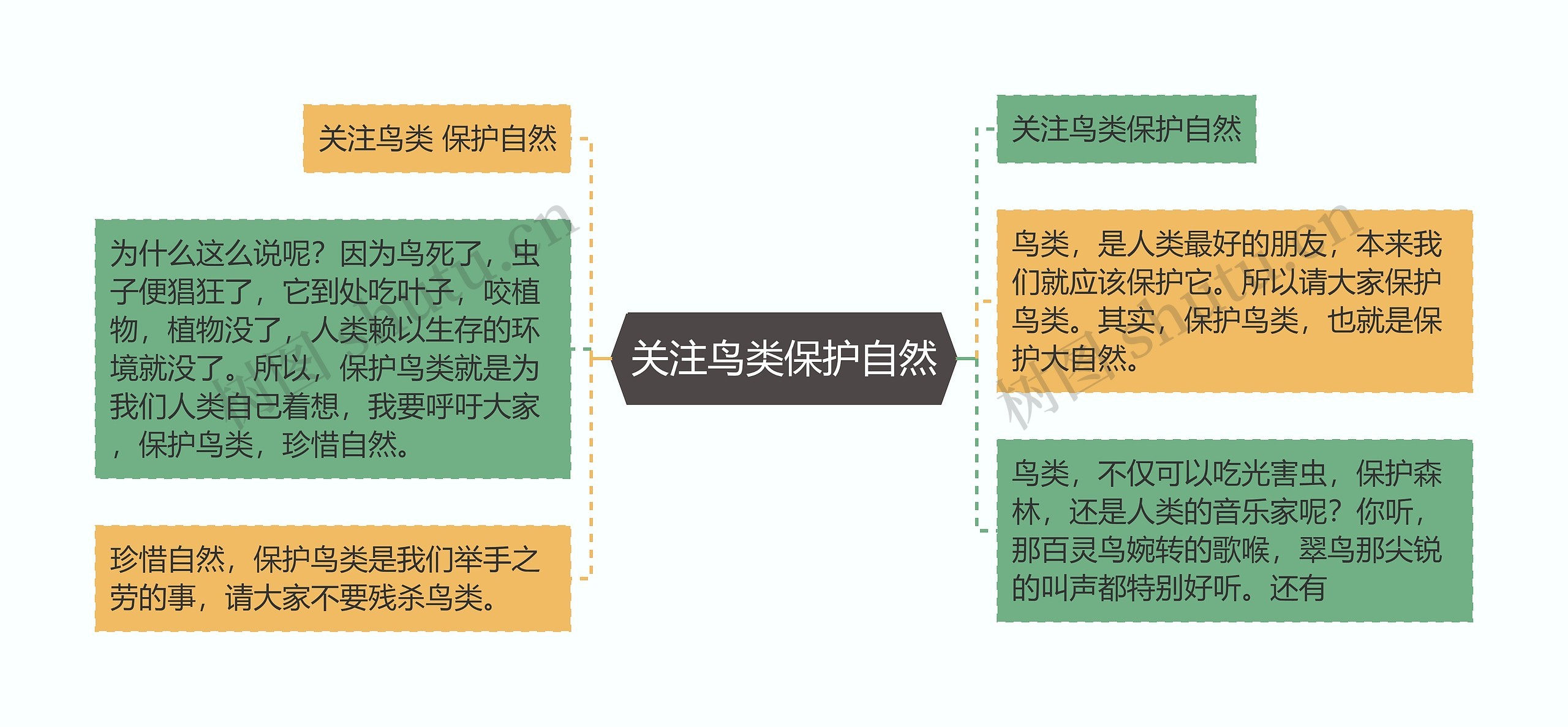 关注鸟类保护自然思维导图