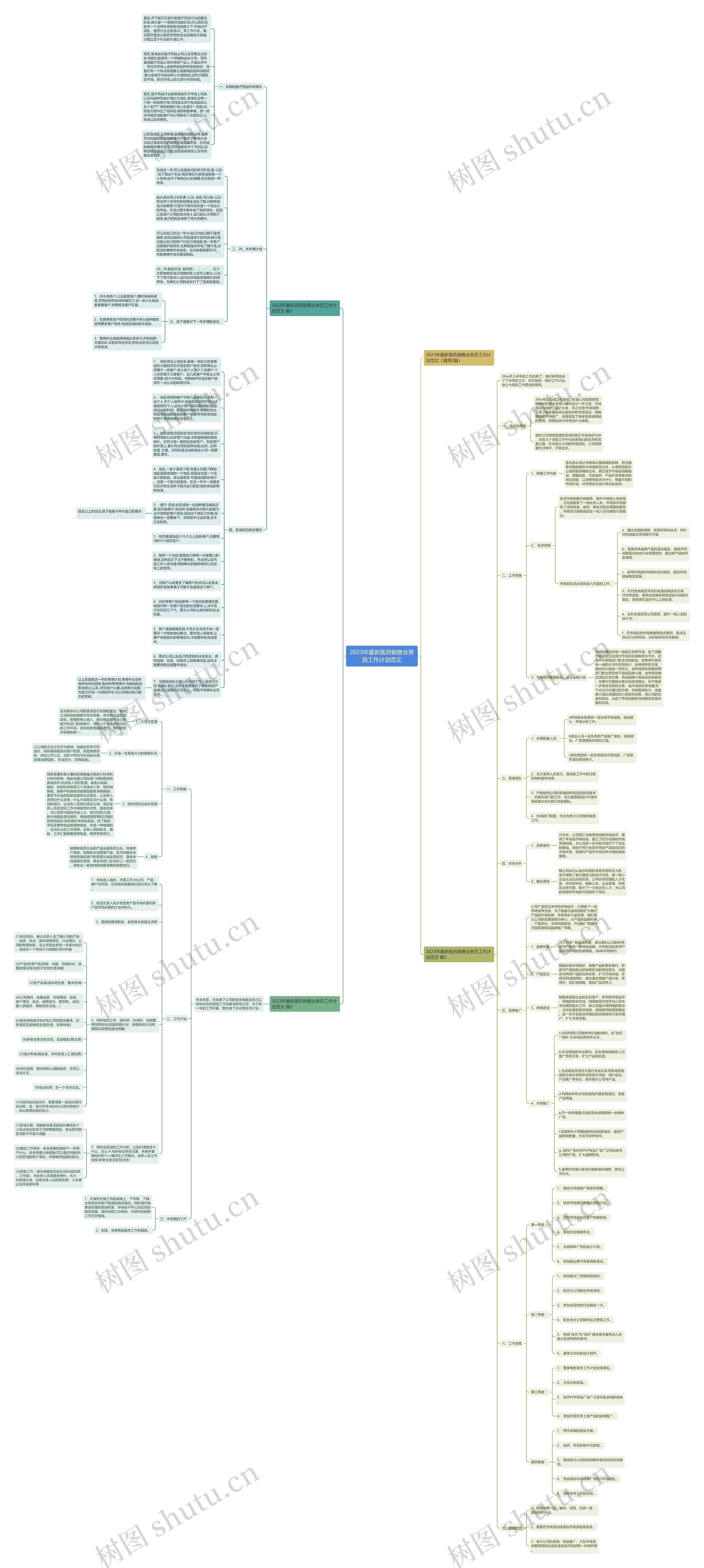 2023年最新医药销售业务员工作计划范文思维导图