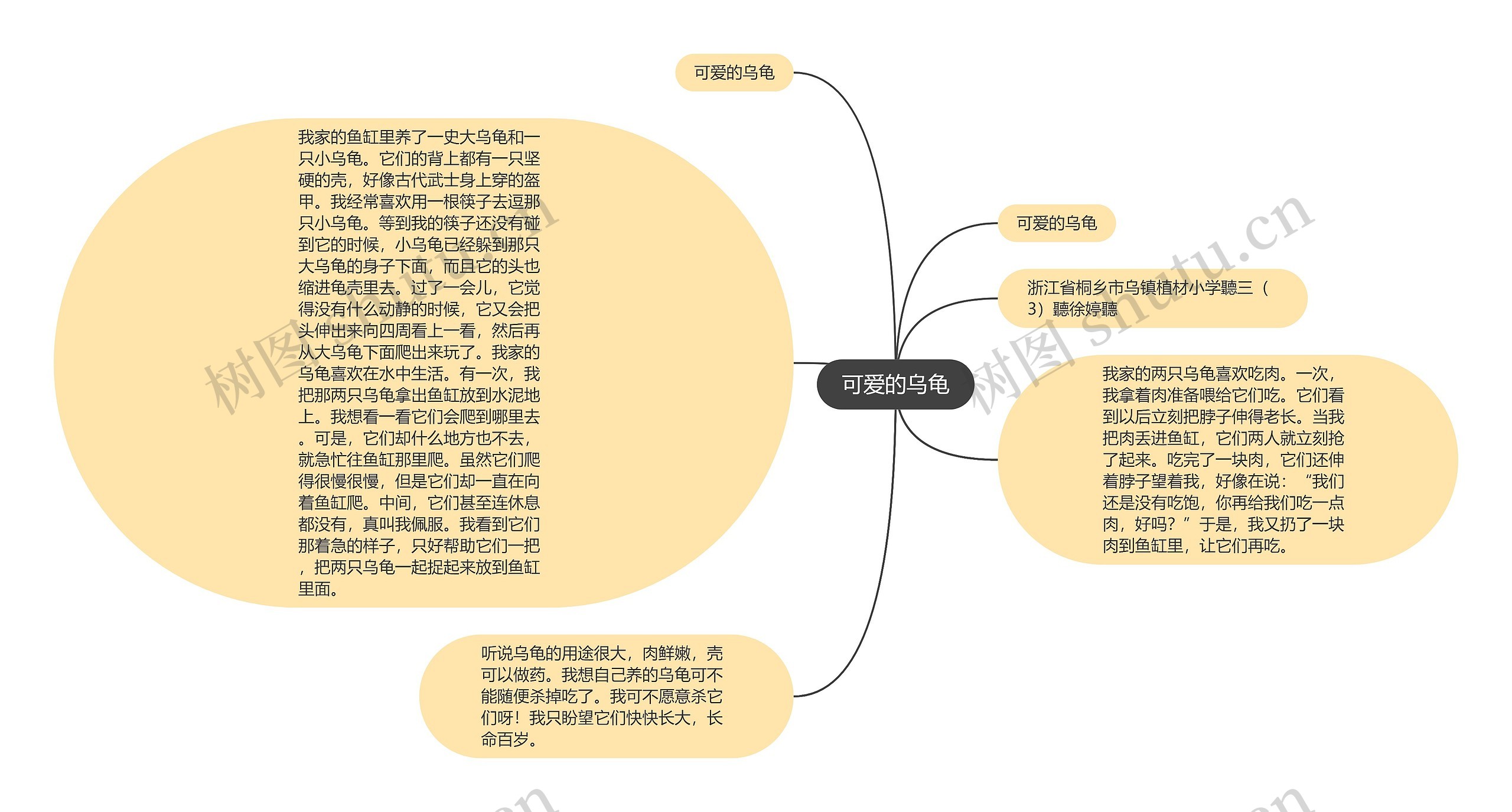 可爱的乌龟思维导图