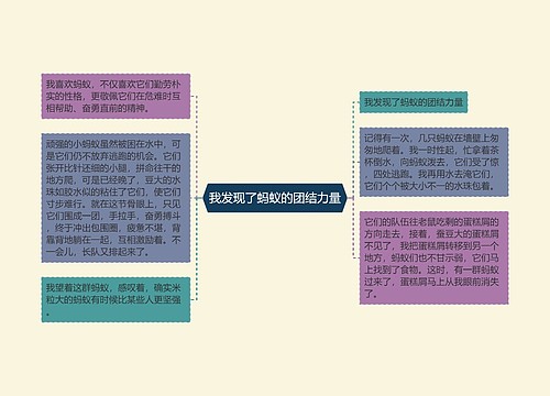 我发现了蚂蚁的团结力量