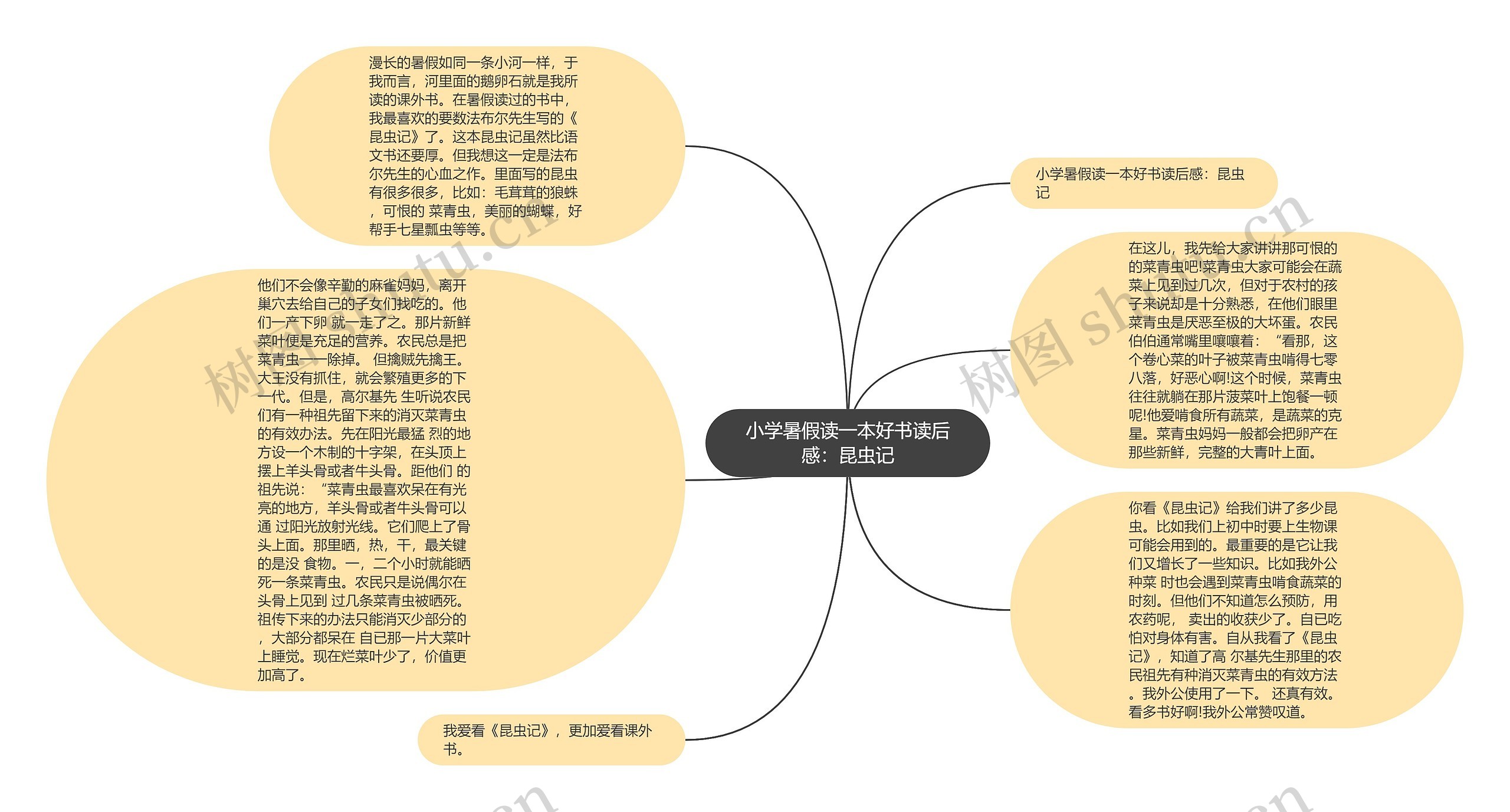 小学暑假读一本好书读后感：昆虫记