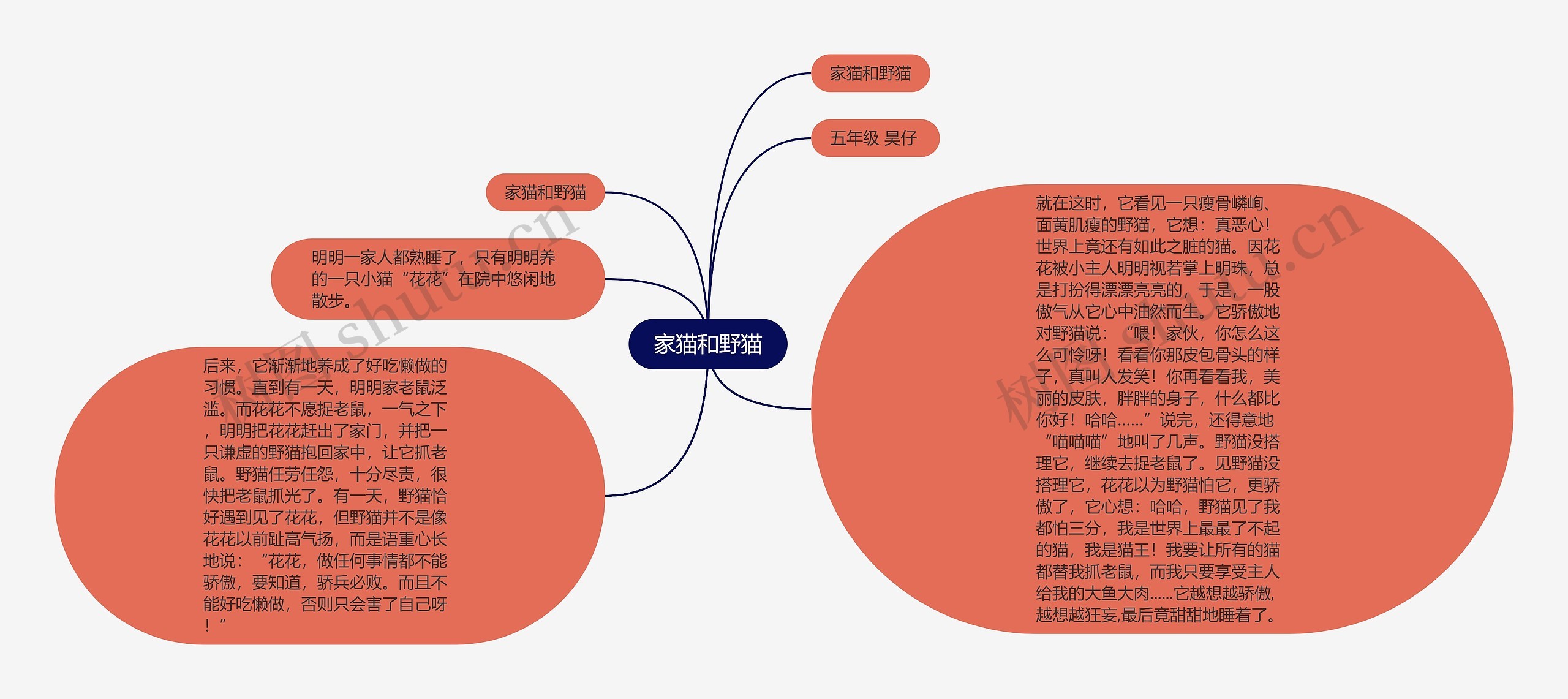 家猫和野猫思维导图