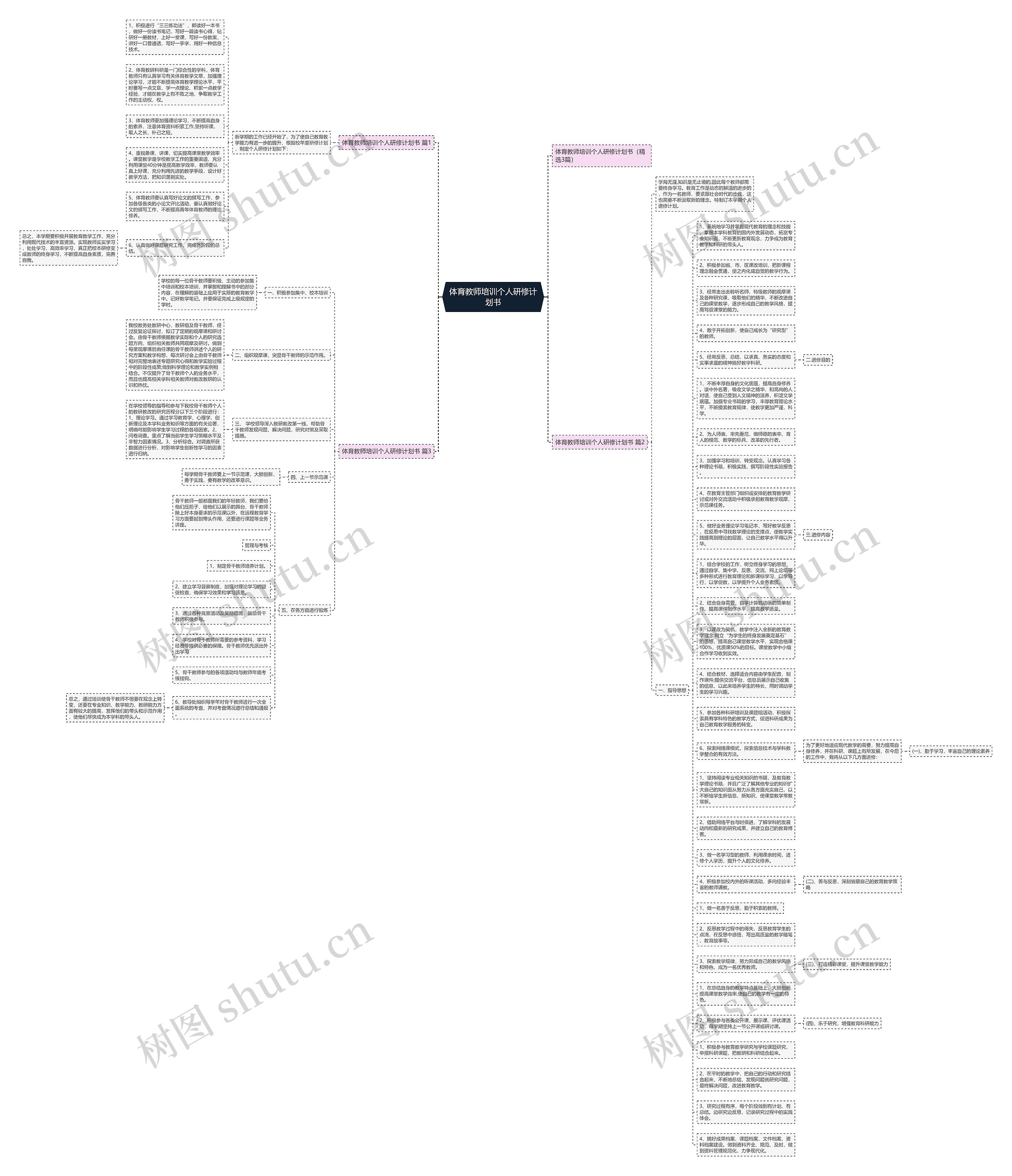 体育教师培训个人研修计划书思维导图